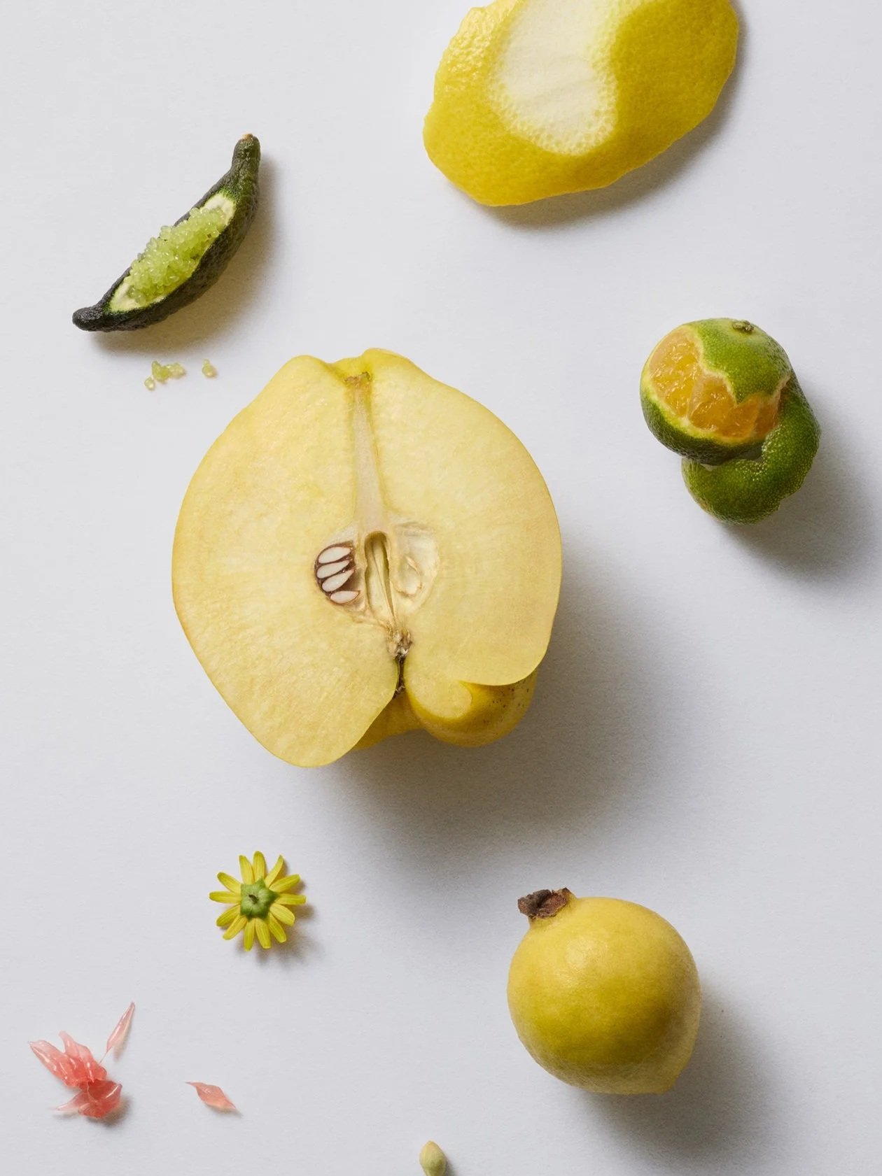 SHOT05_20250612_Fruits12967_HR.jpg