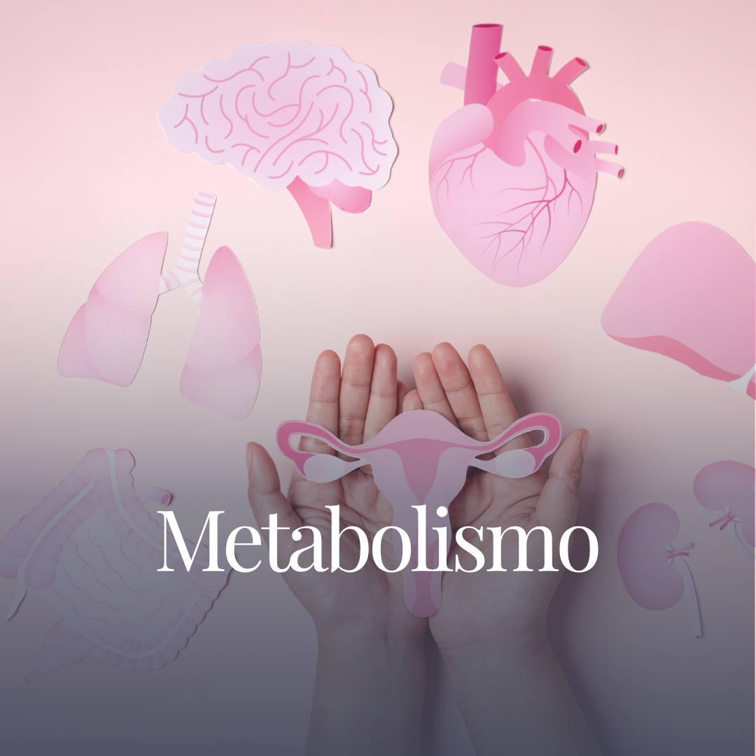 Ilustrações de órgãos humanos, incluindo cérebro, coração, pulmões, fígado, intestinos, útero e rins, com uma mão segurando uma representação do sistema reprodutor feminino, acompanhada pela palavra "Metabolismo".