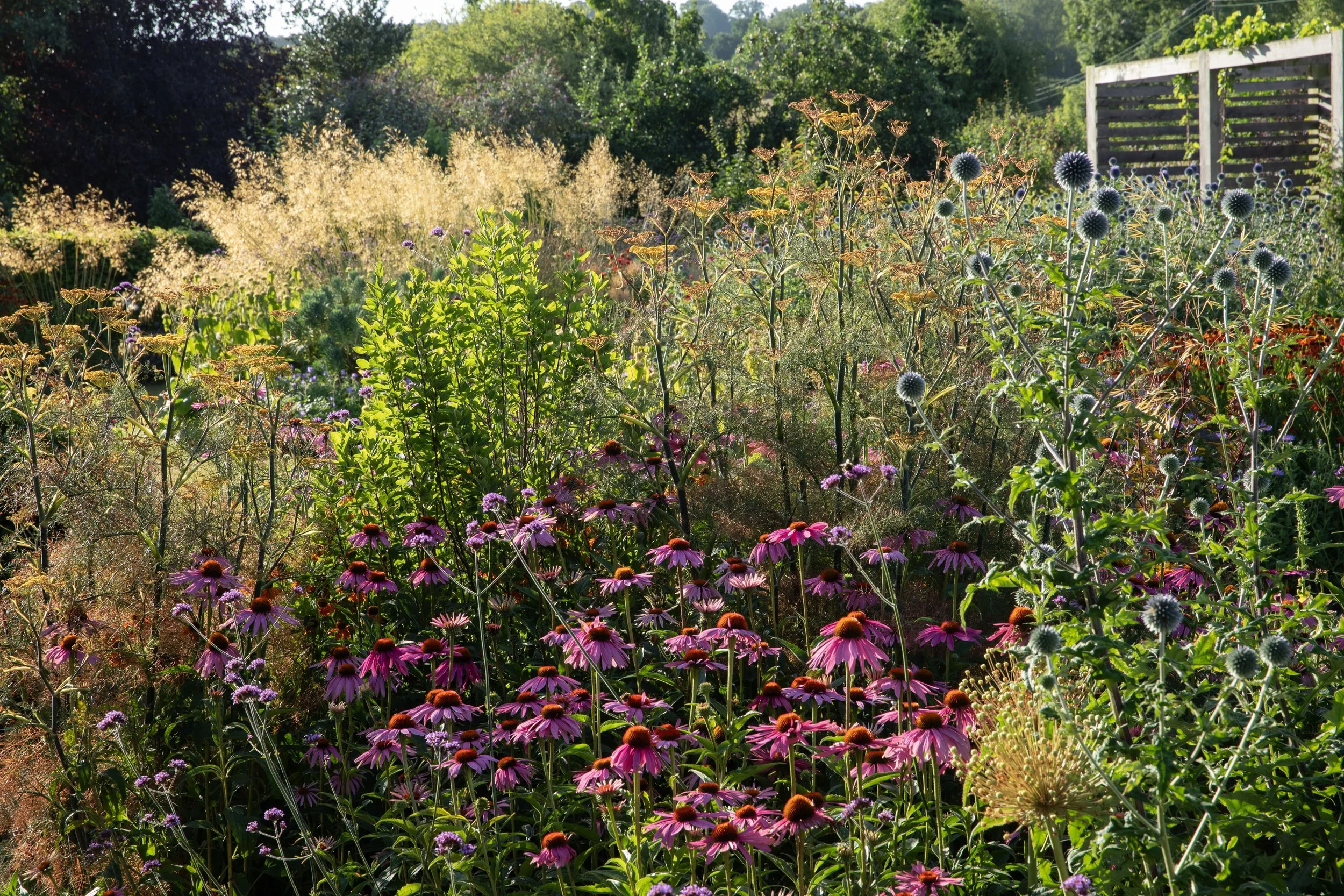 Simon Forrester Prairie planting 4.jpg