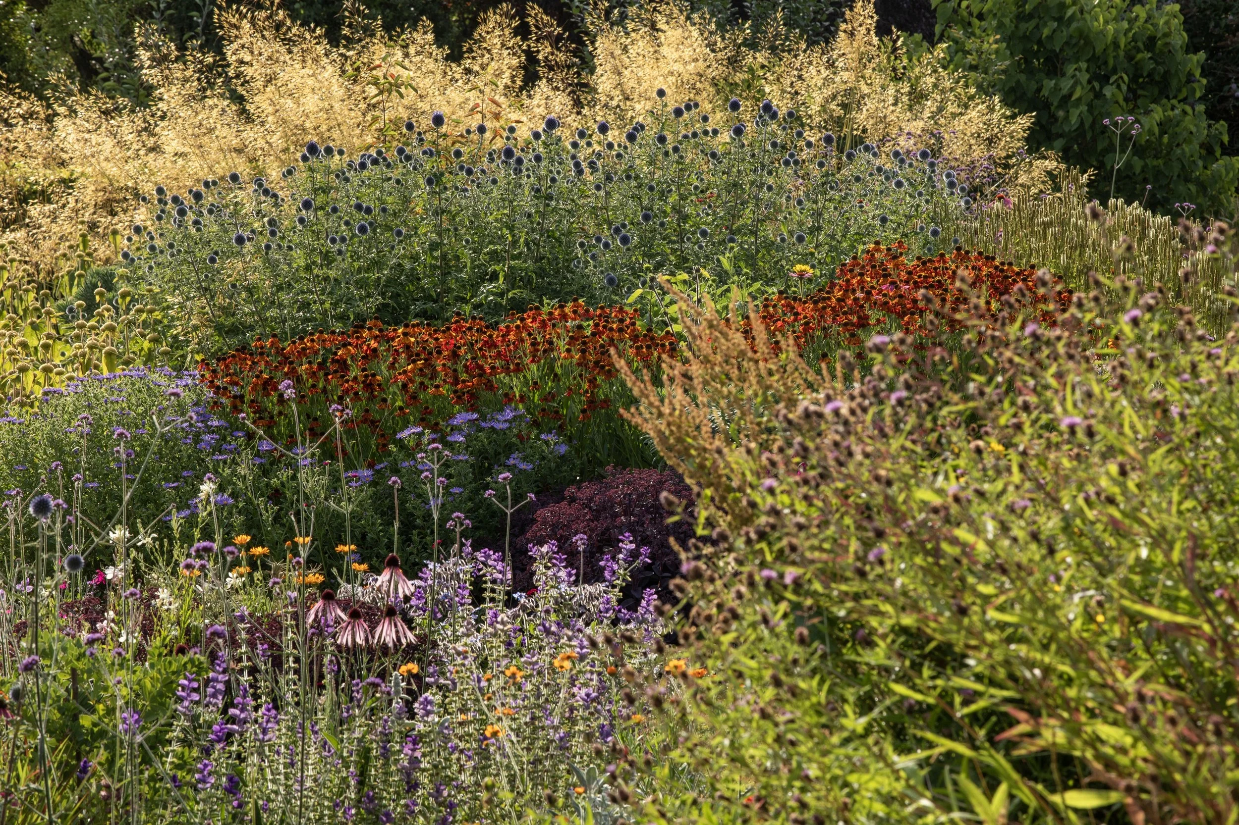 Simon Forrester Prairie planting 1.jpg