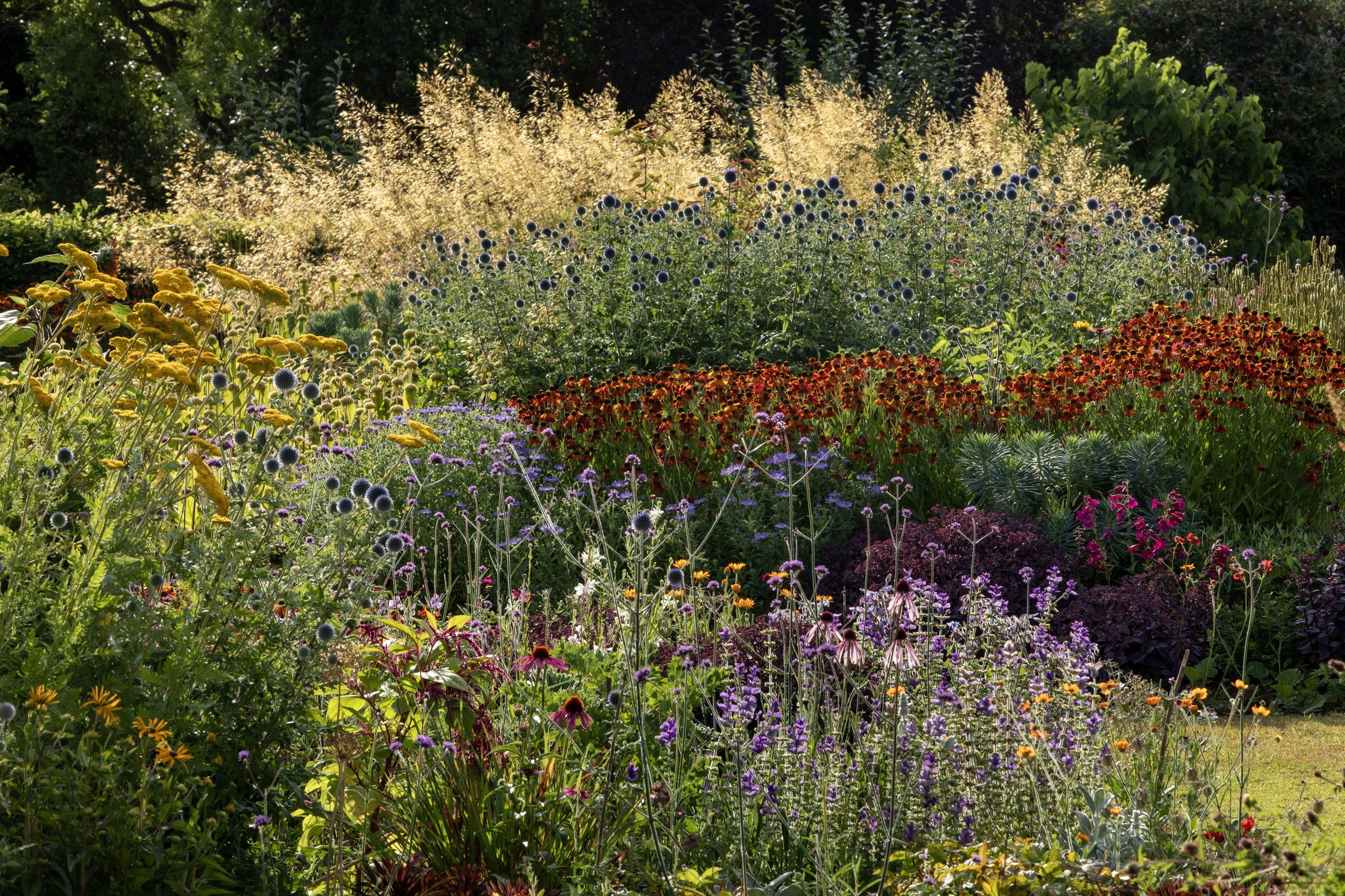Simon Forrester low maintenance gardening 1.jpg
