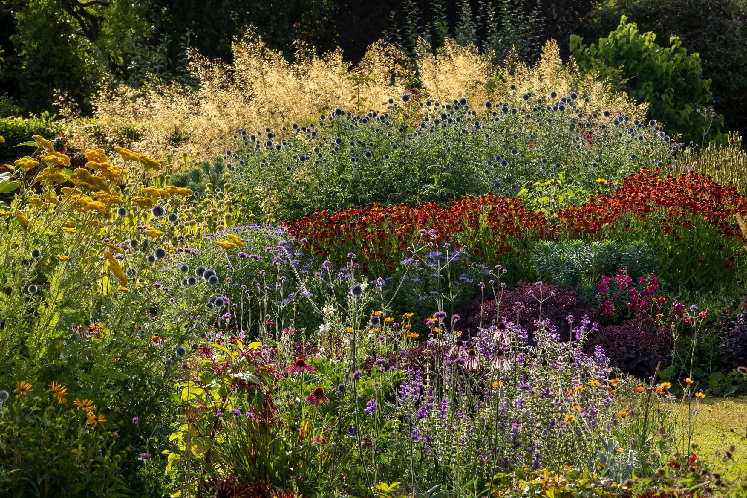 Low maintenance gardening