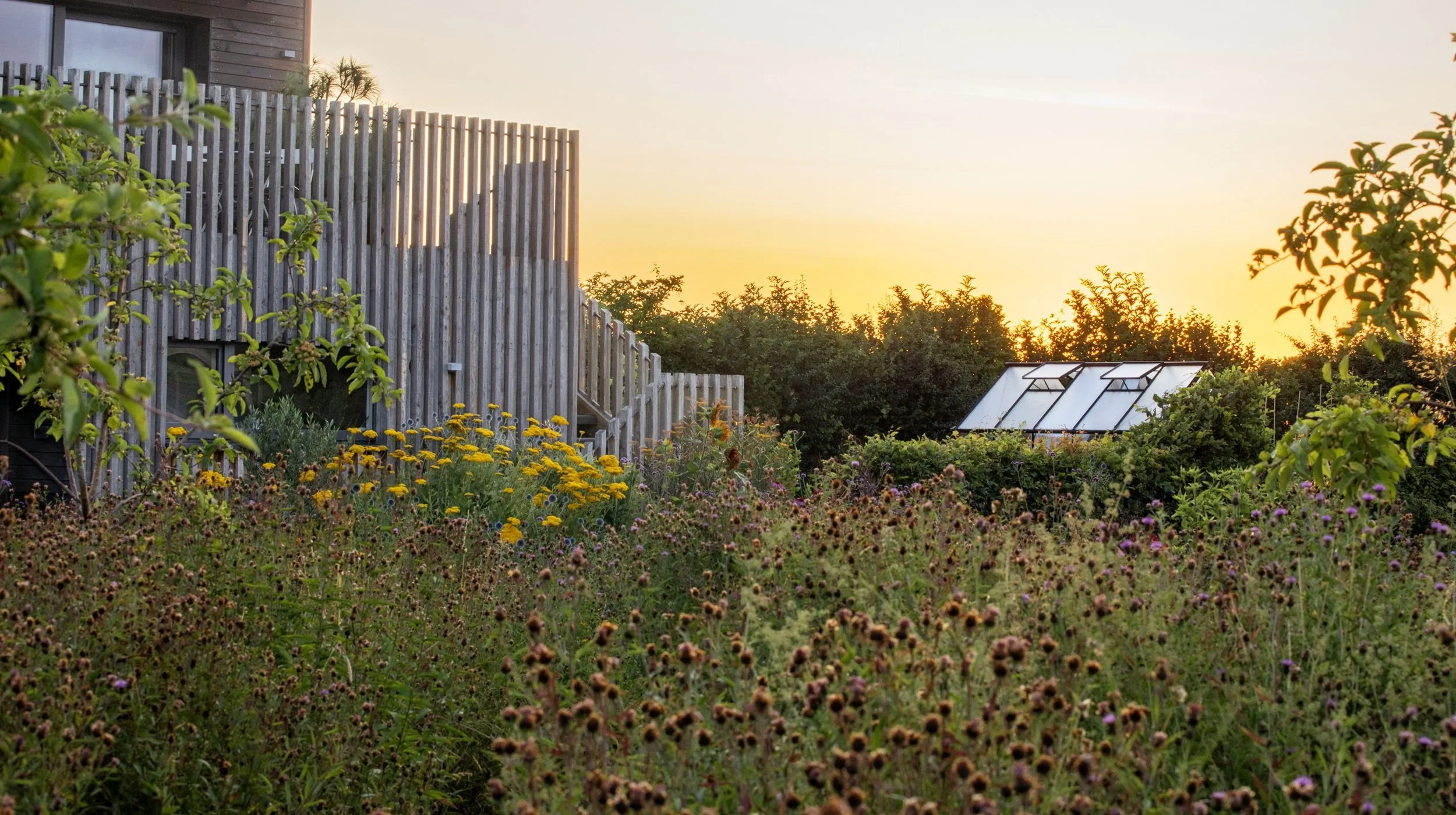 A garden scene at sunset with various flowers, a wooden building with a staircase, and a greenhouse among trees.
