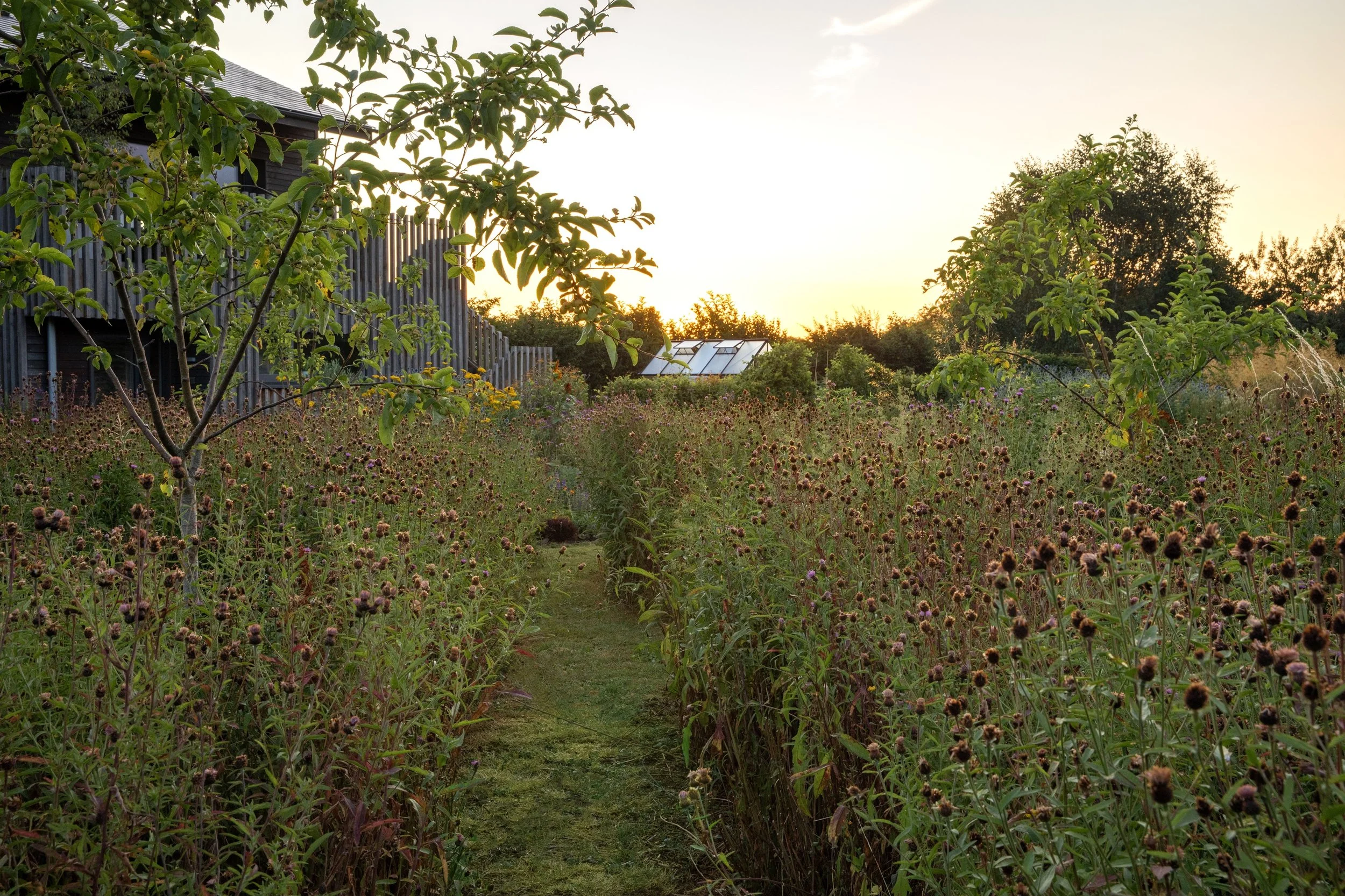 Simon Forrester Prairie planting 2.jpg