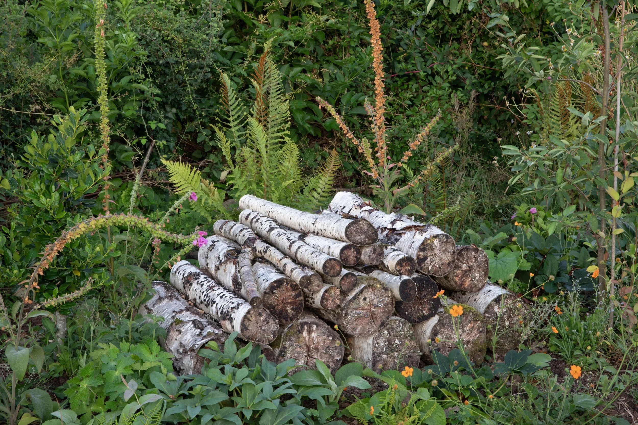 Simon Forrester wildlife gardening 1.jpg