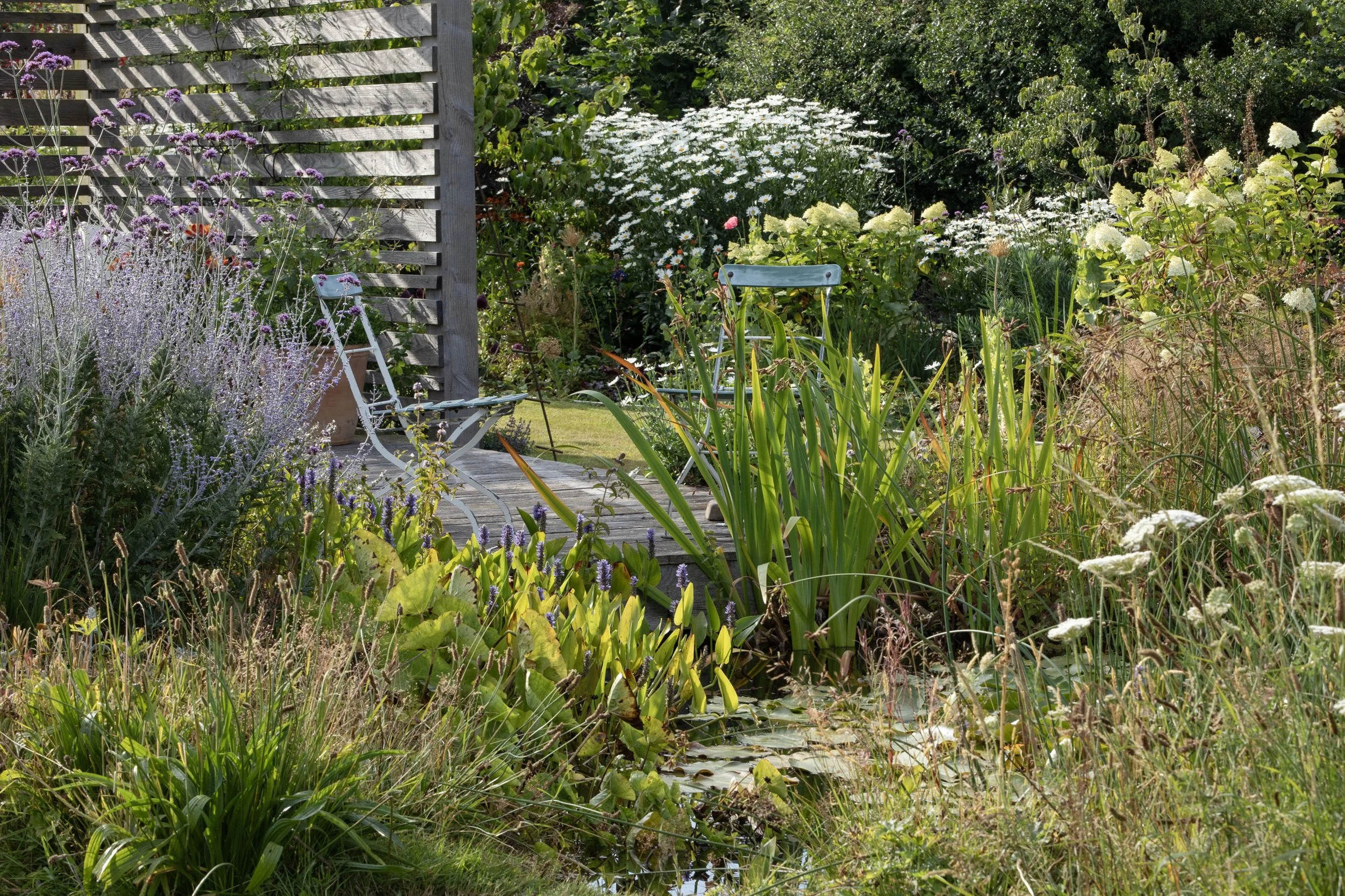 Simon Forrester Climate Resilience gardens 1.jpg
