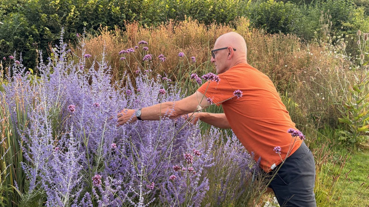 A bald man wearing glasses, an orange shirt, and dark pants leaning forward in a garden, reaching out to touch or pick purple flowers among tall plants and greenery.