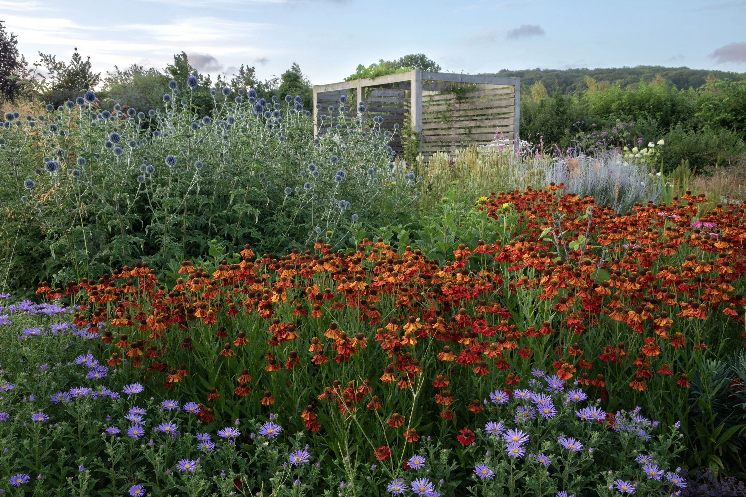Simon Forrester Prairie planting 3.jpg