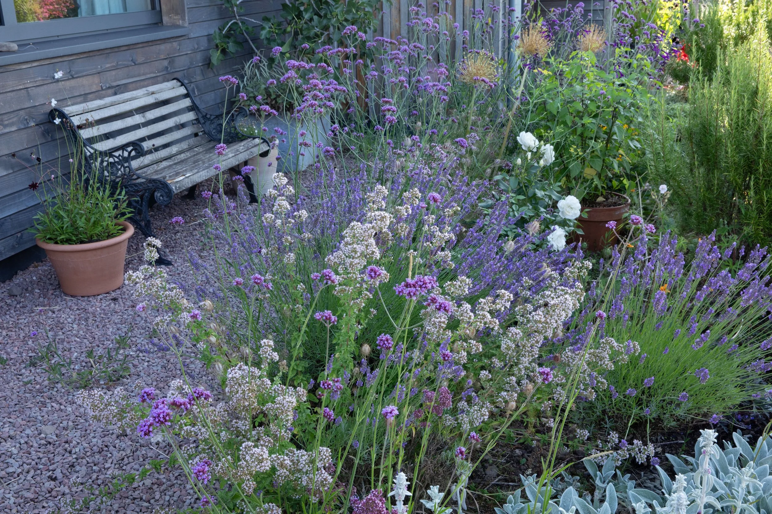 Simon Forrester Climate Resilience gardens 4.jpg