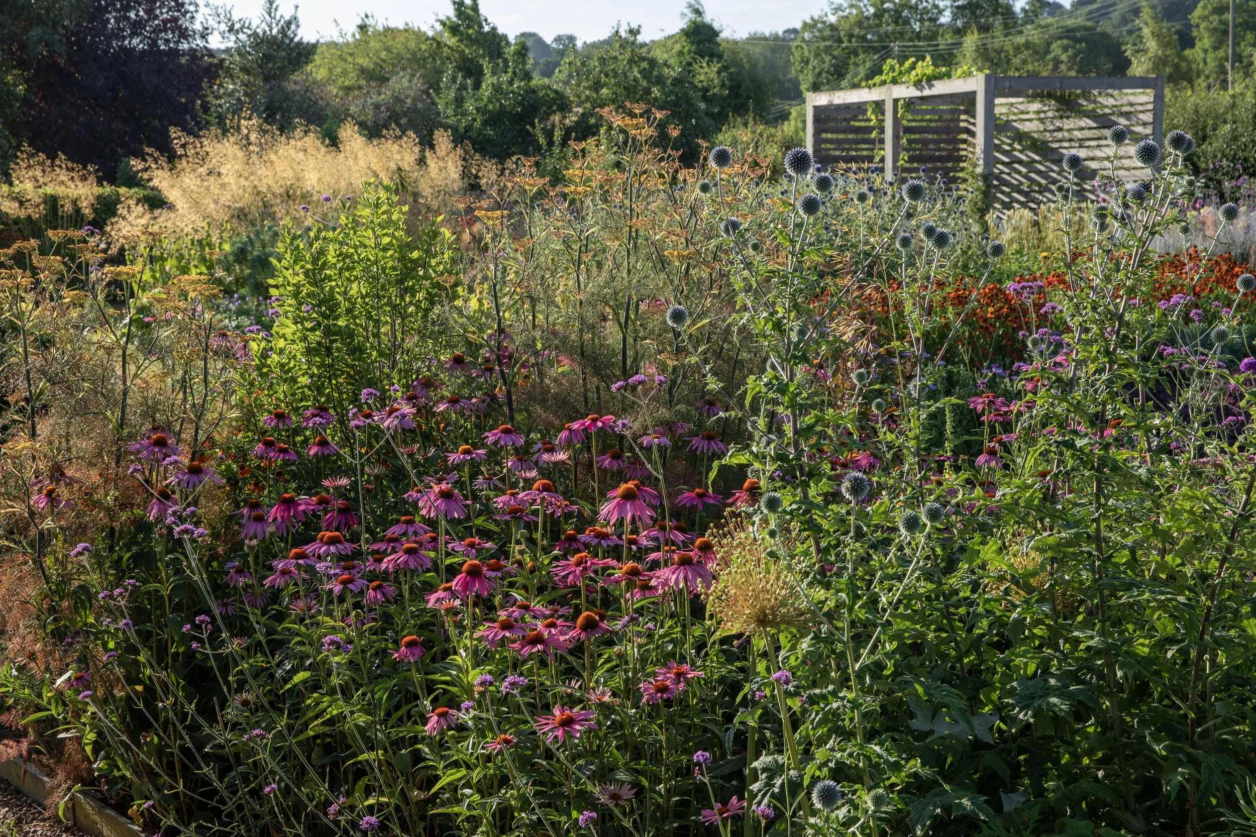 Simon Forrester low maintenance gardening 4.jpg