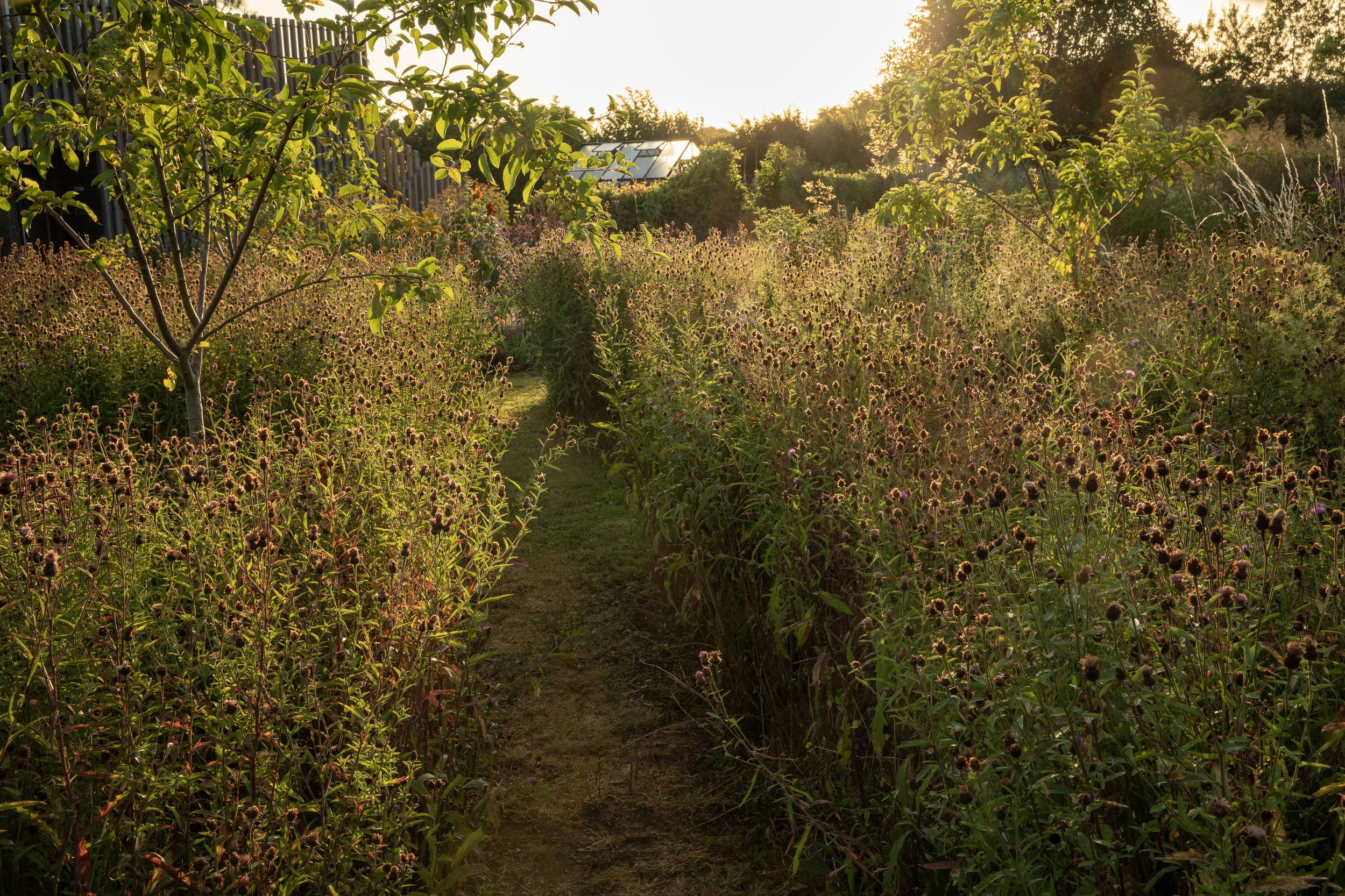 Simon Forrester wildlife gardening 2.jpg