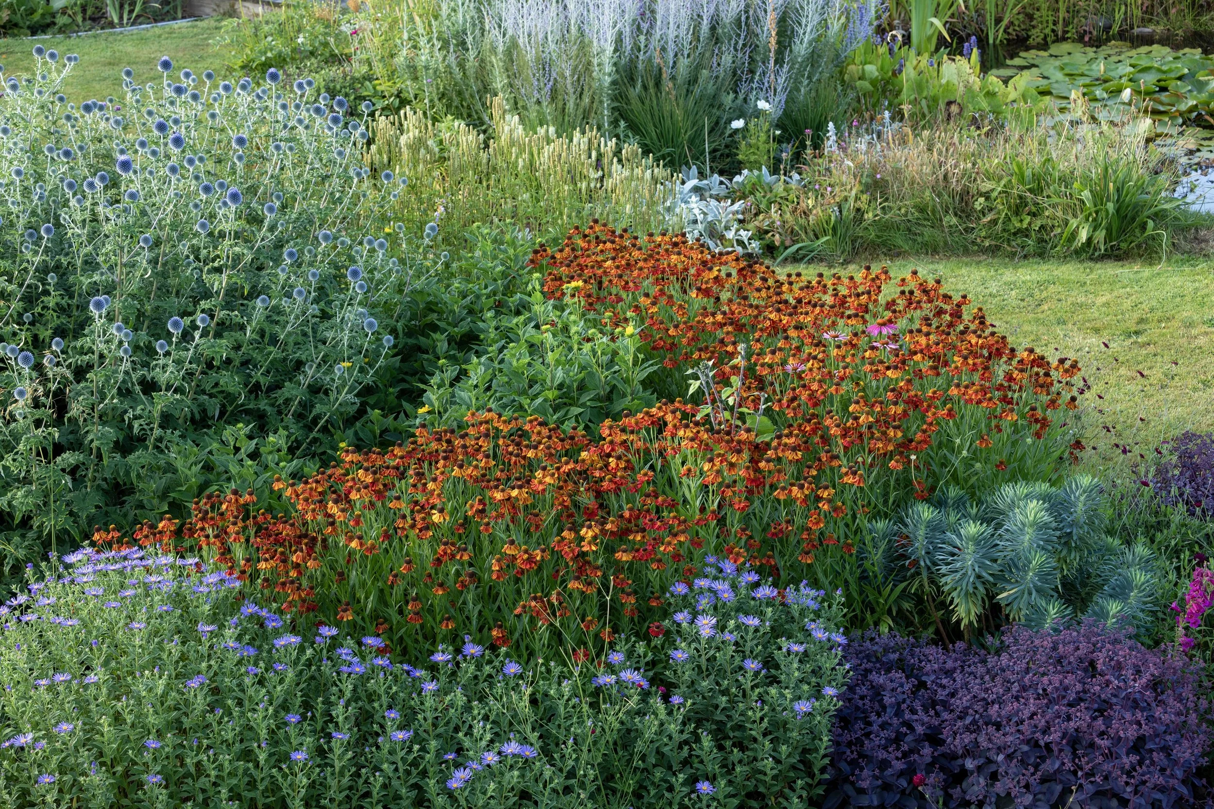 Simon Forrester Colour and Design 2.jpg