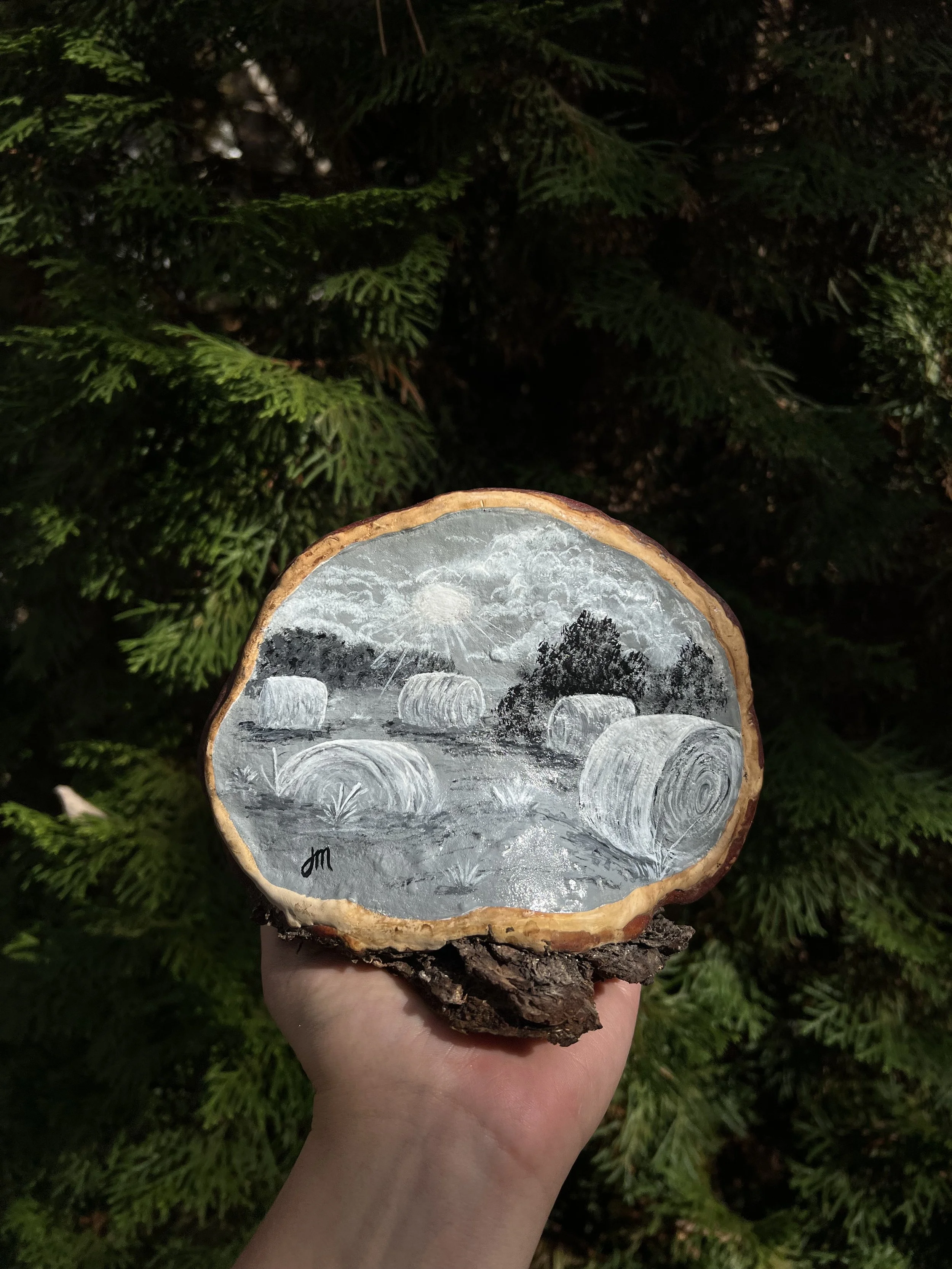Hand holding a painted cross-section of a tree trunk with mountain scenery, trees, and clouds depicted in black and white, against a background of green evergreen tree branches.