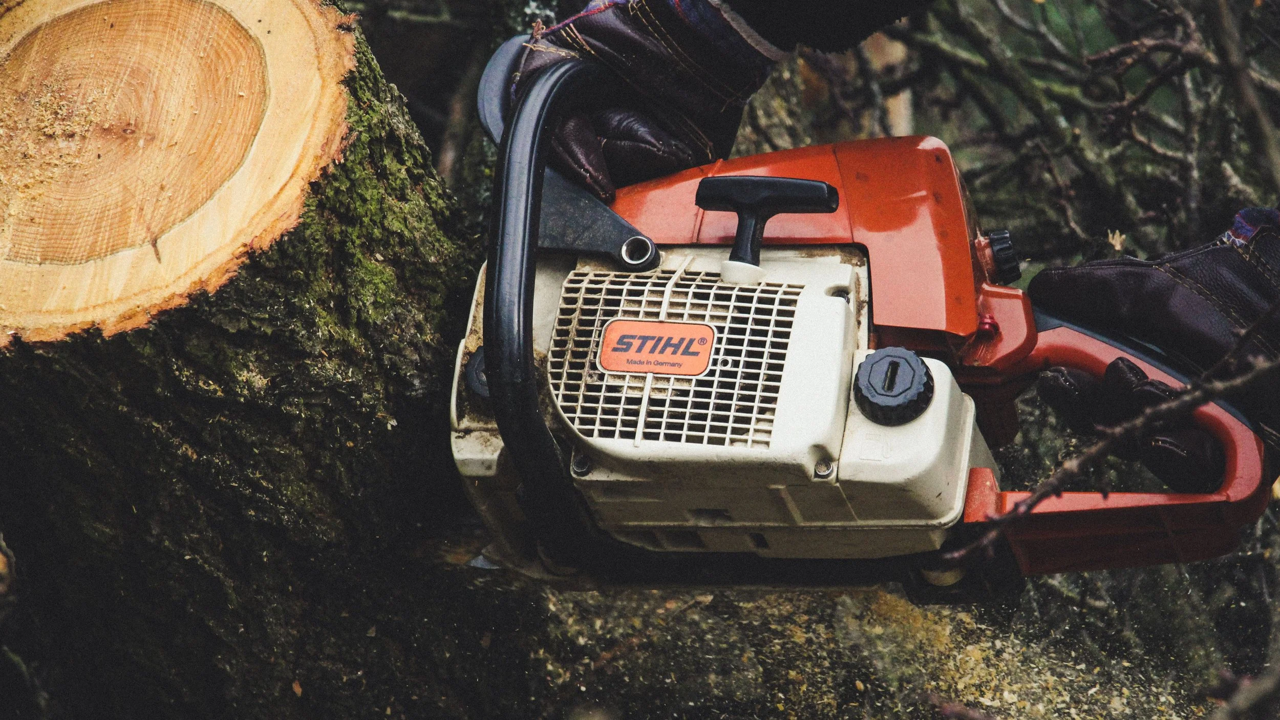 How Much Does Stump Grinding Cost in Connecticut?