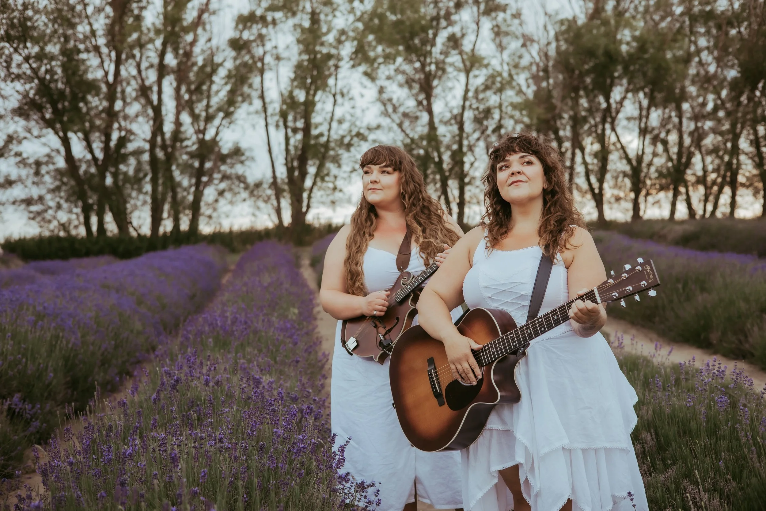 LIVE MUSIC! Featuring Calico Bones