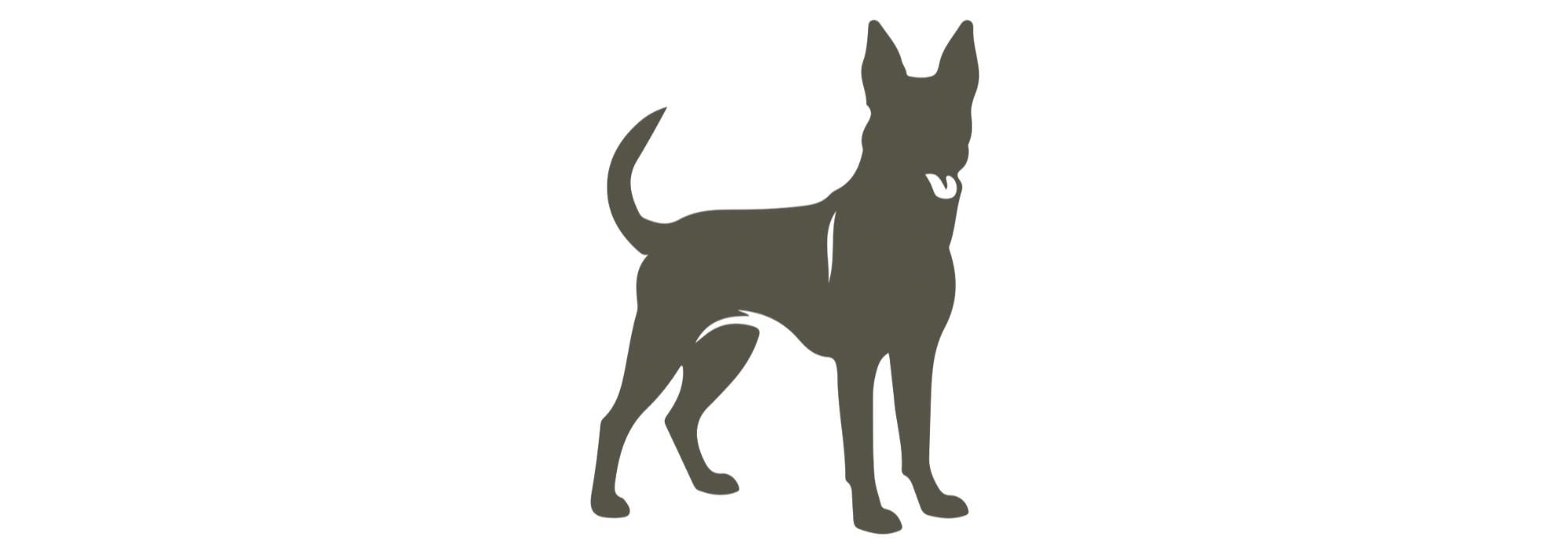 Silhouette of a Belgian Malinois dog standing on a white background.