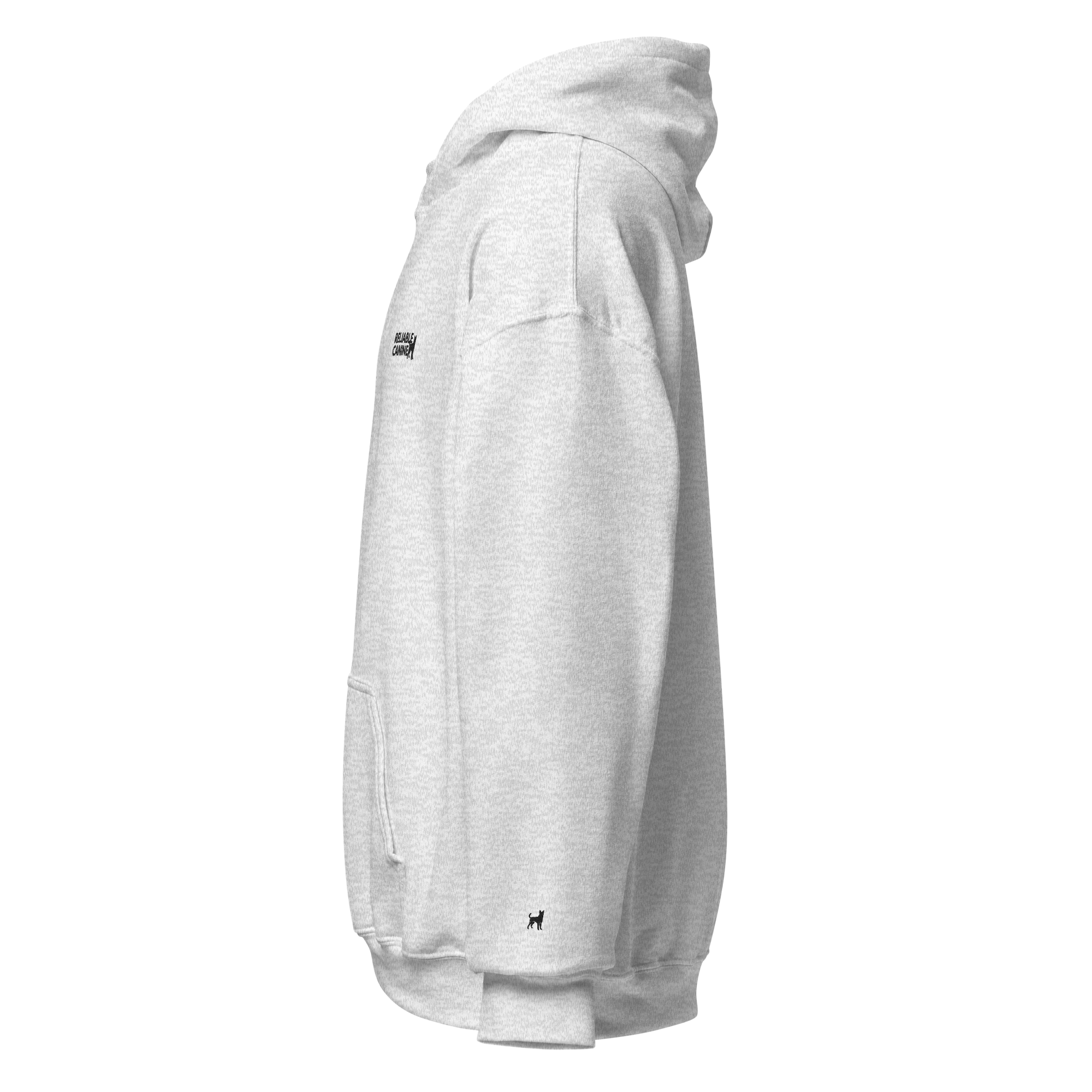 unisex-heavy-blend-hoodie-ash-left-6a5efe5f38eab.png