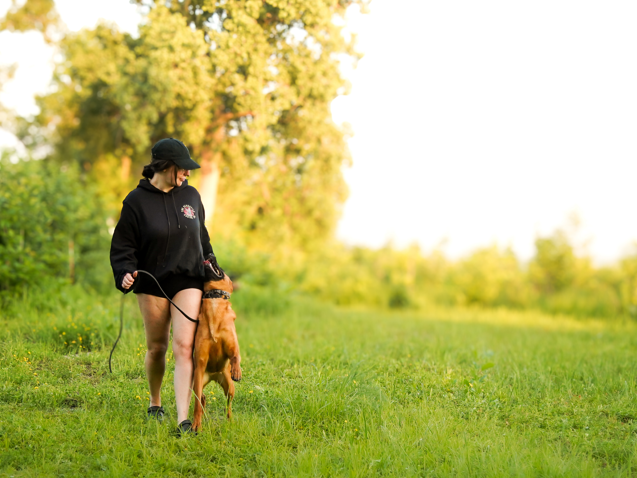 A woman walking a dog in a grassy park, with trees in the background.