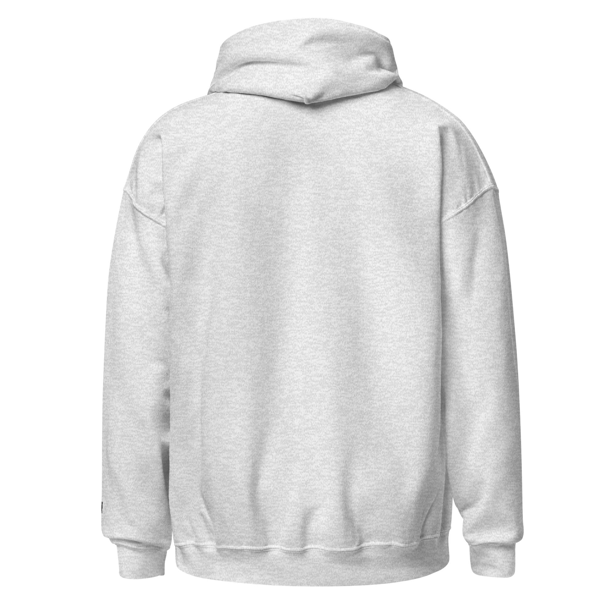 unisex-heavy-blend-hoodie-ash-back-6a5efe5f38c24.png