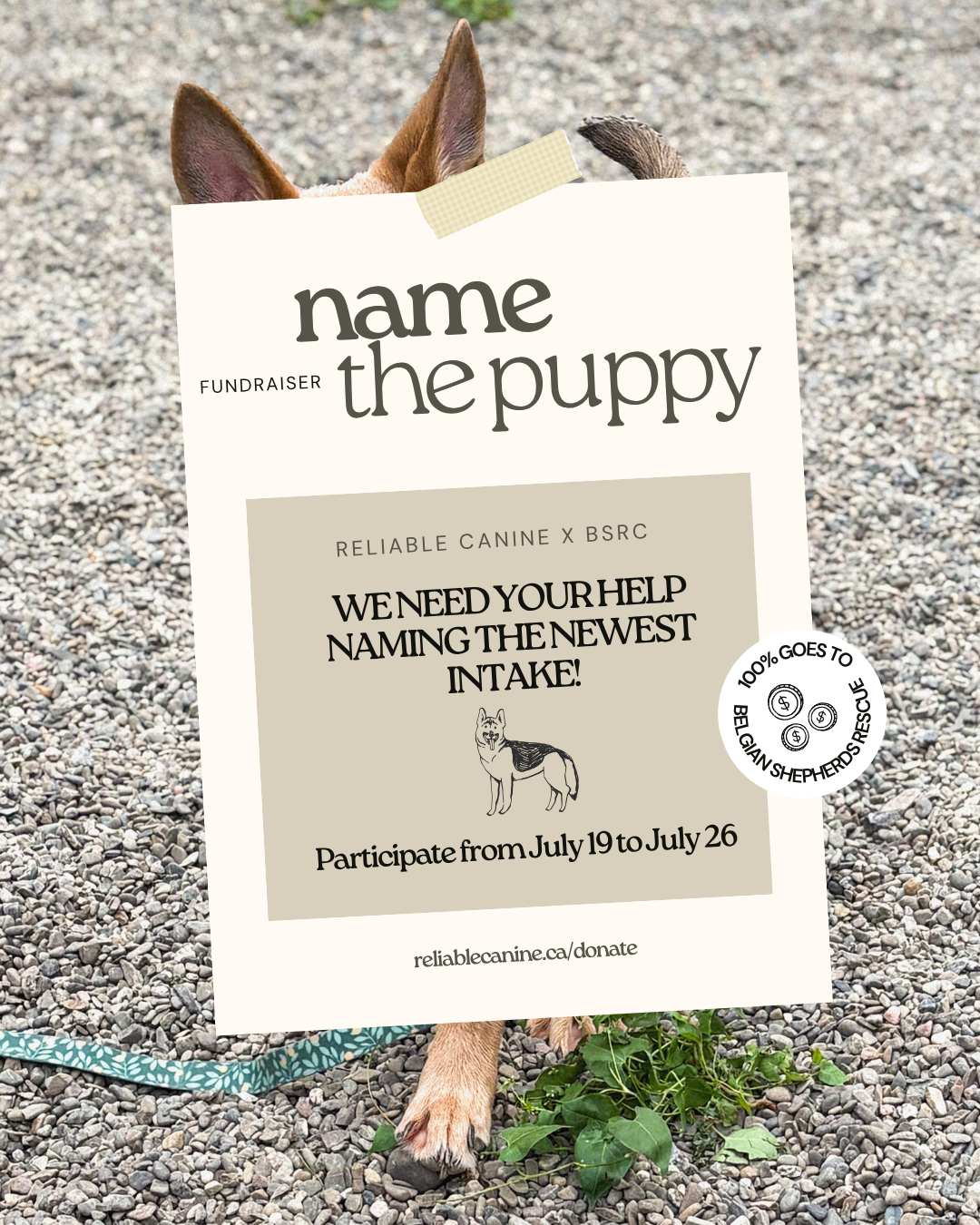 A dog standing on gravel holding a sign for a puppy naming fundraiser. The dog's ears and part of its body are visible behind the sign.