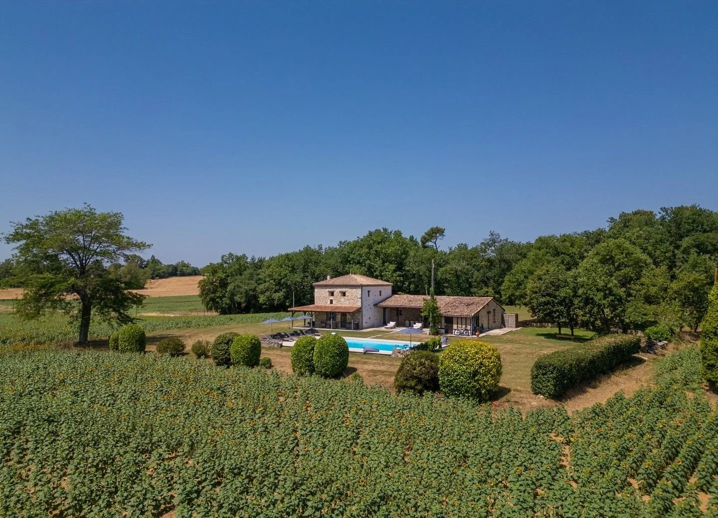 A countryside property featuring a house with a tiled roof, surrounded by a lush green lawn with trimmed bushes, a swimming pool with lounge chairs and umbrellas, and fields and trees under a clear blue sky.