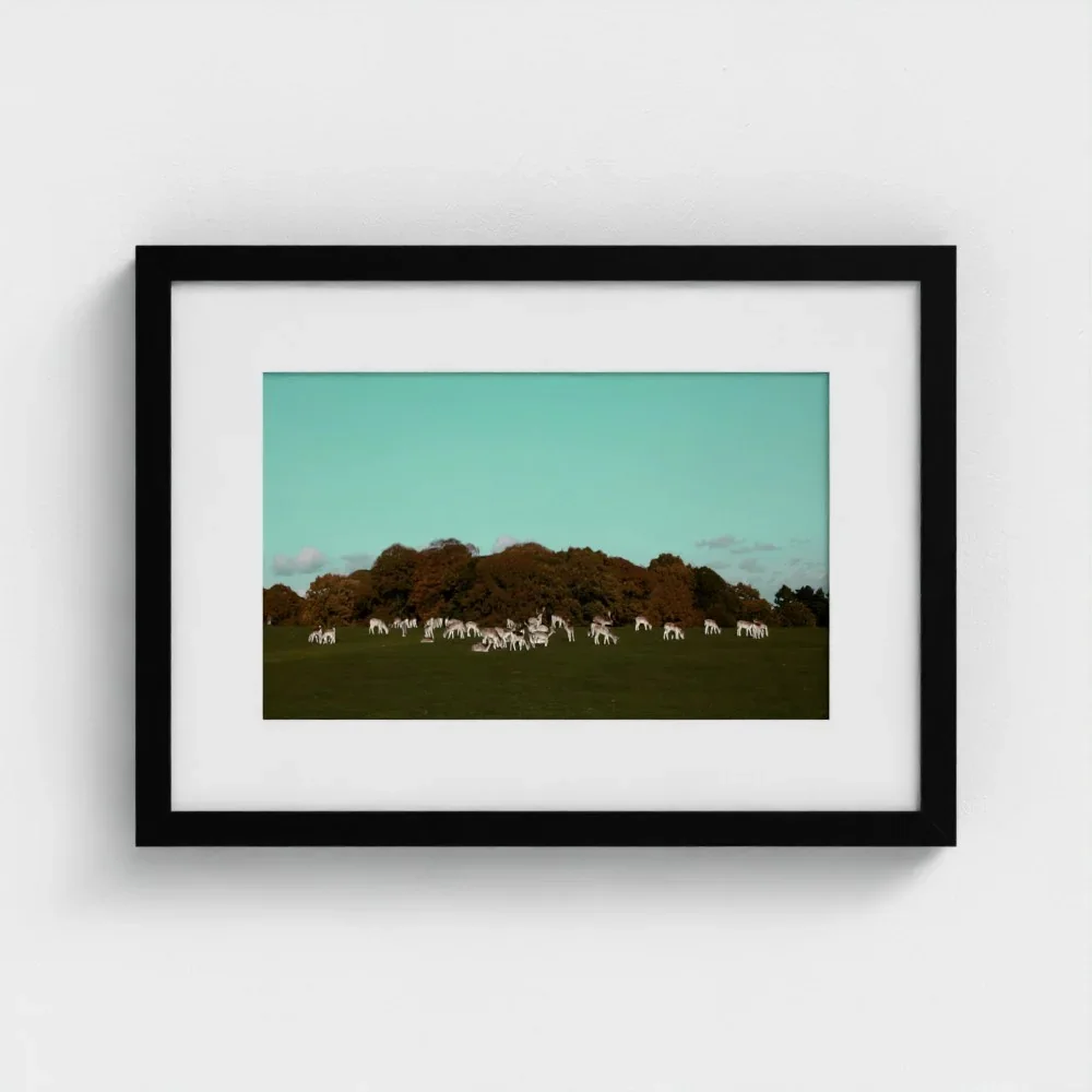 Herd of Deer Fine Art Photography | British Countryside，Serene Landscape Wall Art