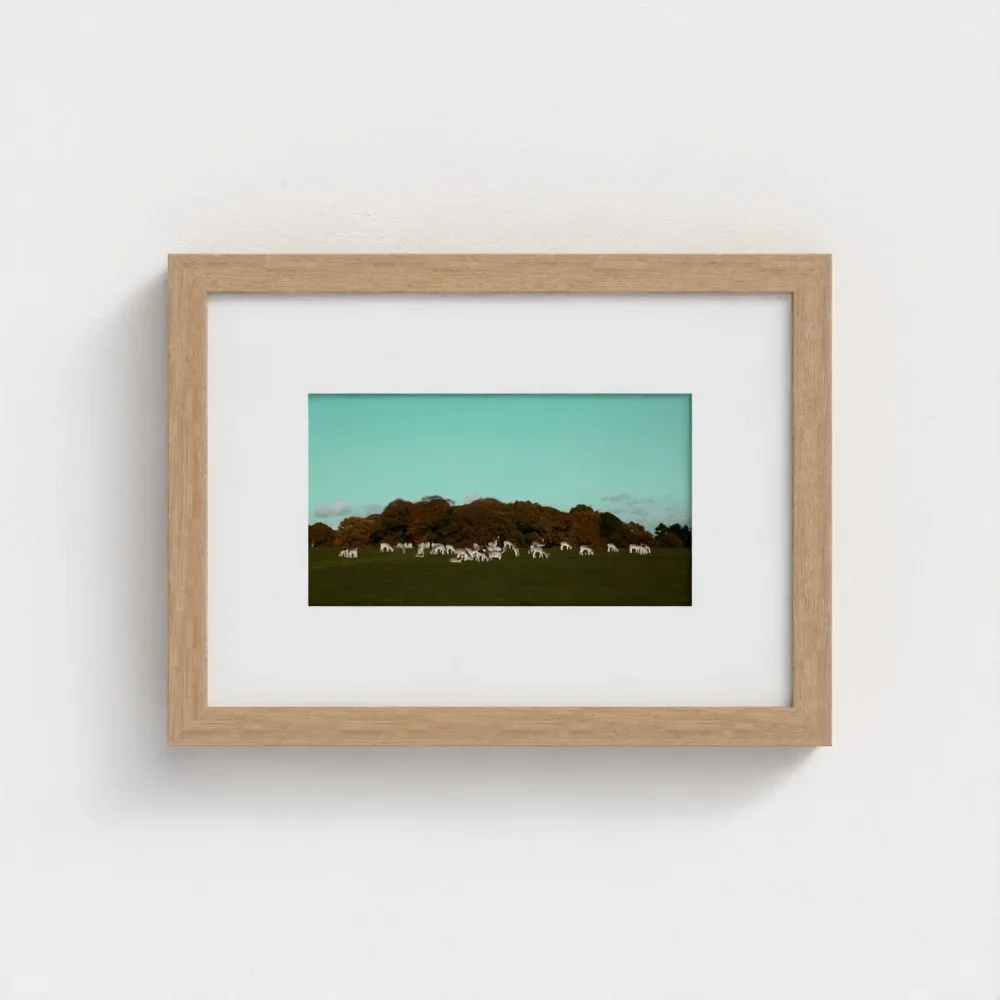Herd of Deer Fine Art Photography | British Countryside，Serene Landscape Wall Art
