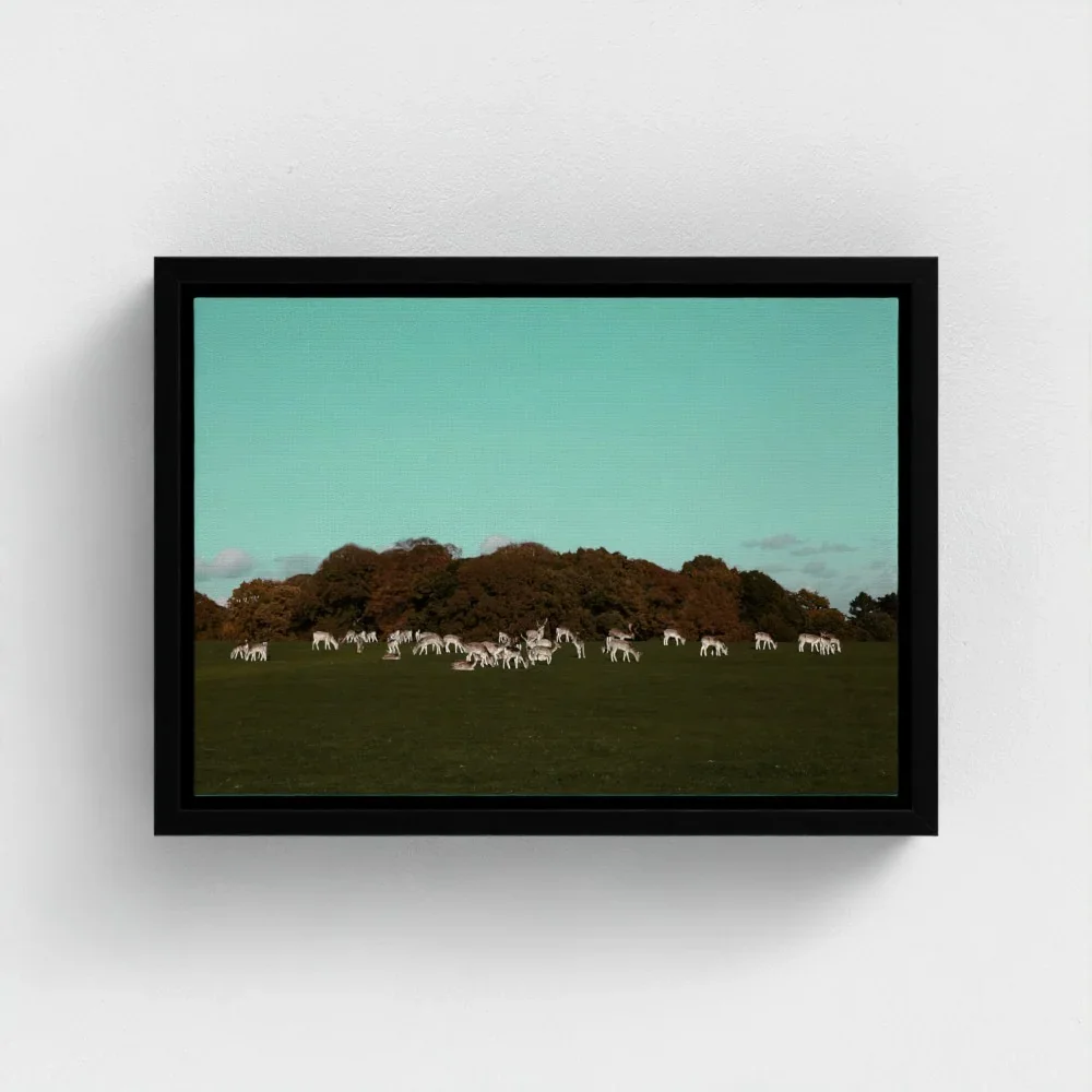Herd of Deer Fine Art Photography | British Countryside，Serene Landscape Wall Art