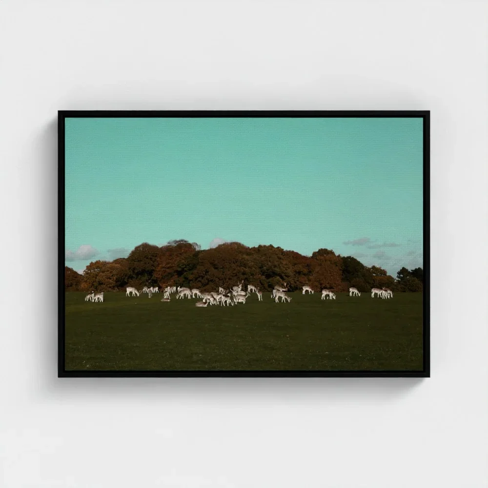 Herd of Deer Fine Art Photography | British Countryside，Serene Landscape Wall Art