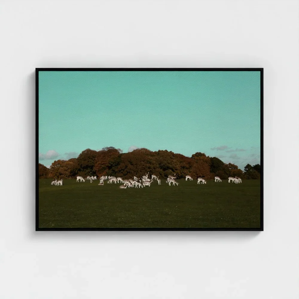 Herd of Deer Fine Art Photography | British Countryside，Serene Landscape Wall Art