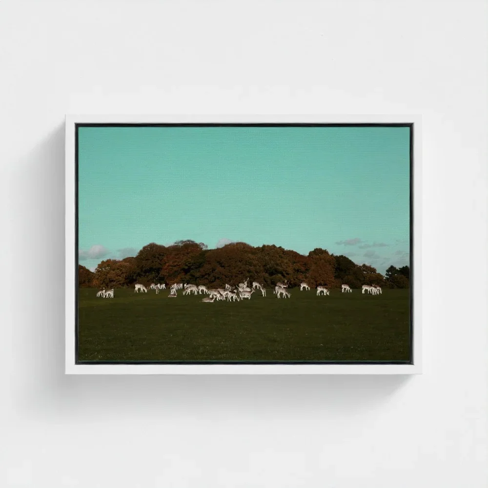 Herd of Deer Fine Art Photography | British Countryside，Serene Landscape Wall Art