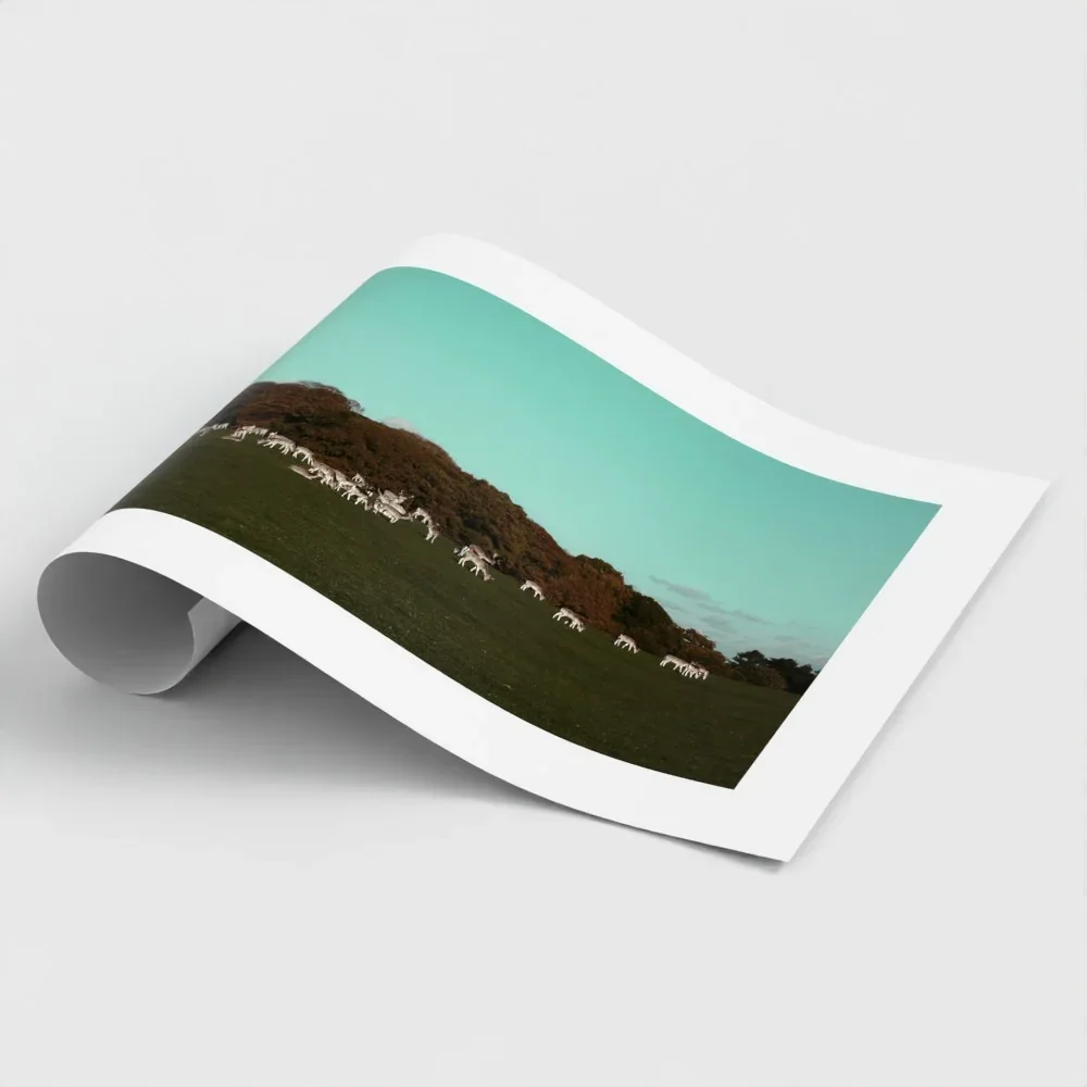 Herd of Deer Fine Art Photography | British Countryside，Serene Landscape Wall Art