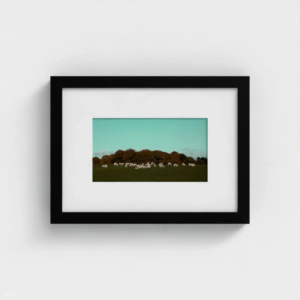 Herd of Deer Fine Art Photography | British Countryside，Serene Landscape Wall Art