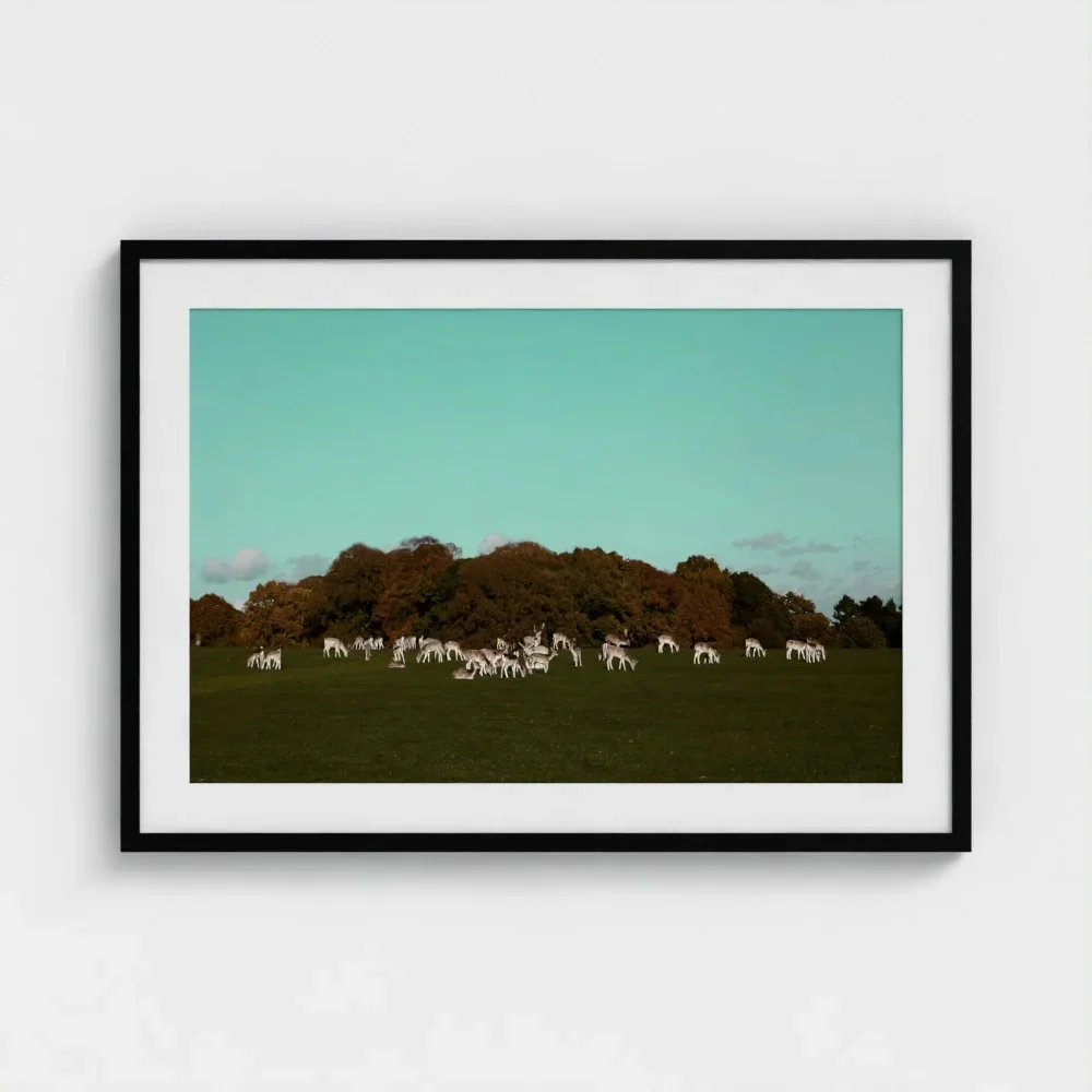 Herd of Deer Fine Art Photography | British Countryside，Serene Landscape Wall Art