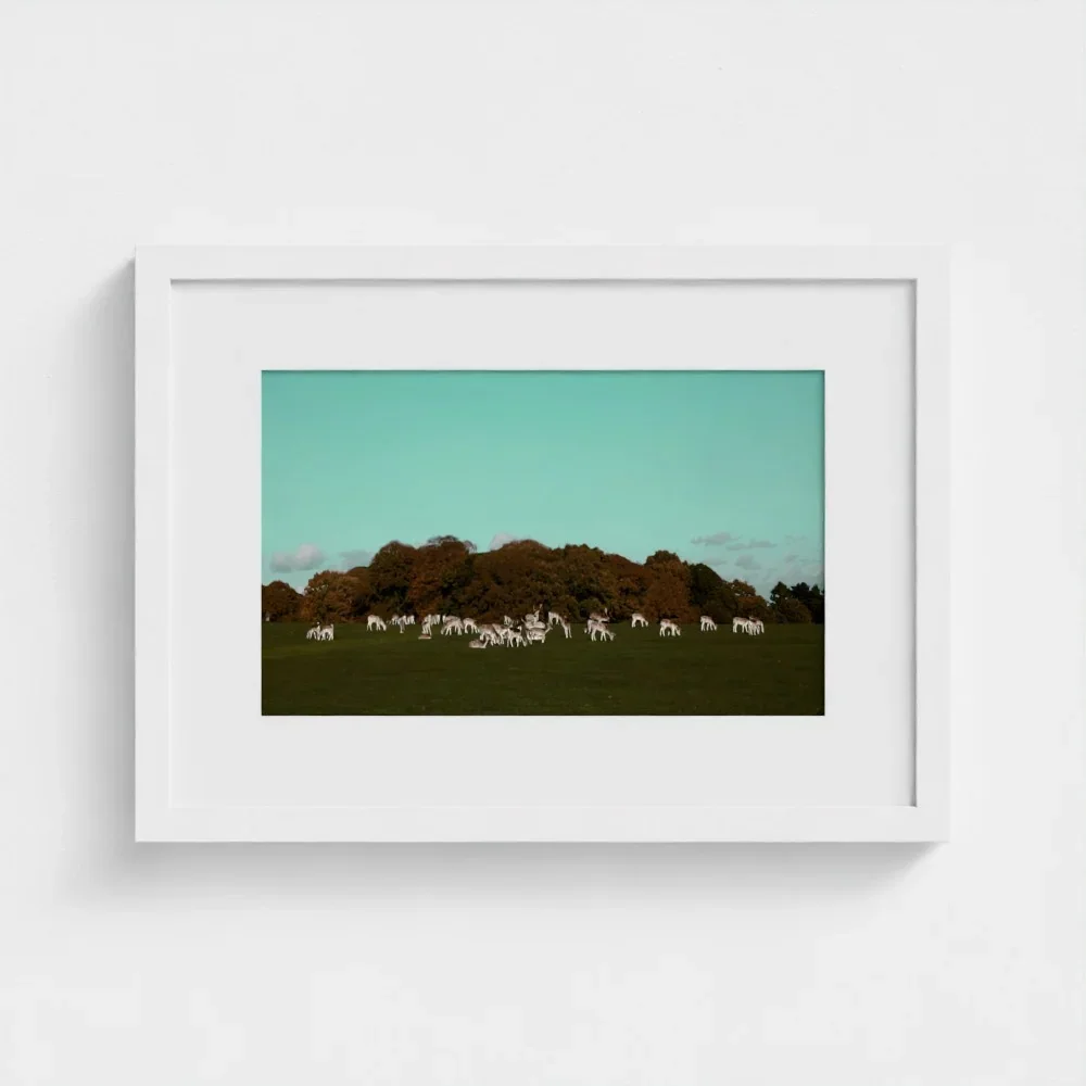 Herd of Deer Fine Art Photography | British Countryside，Serene Landscape Wall Art