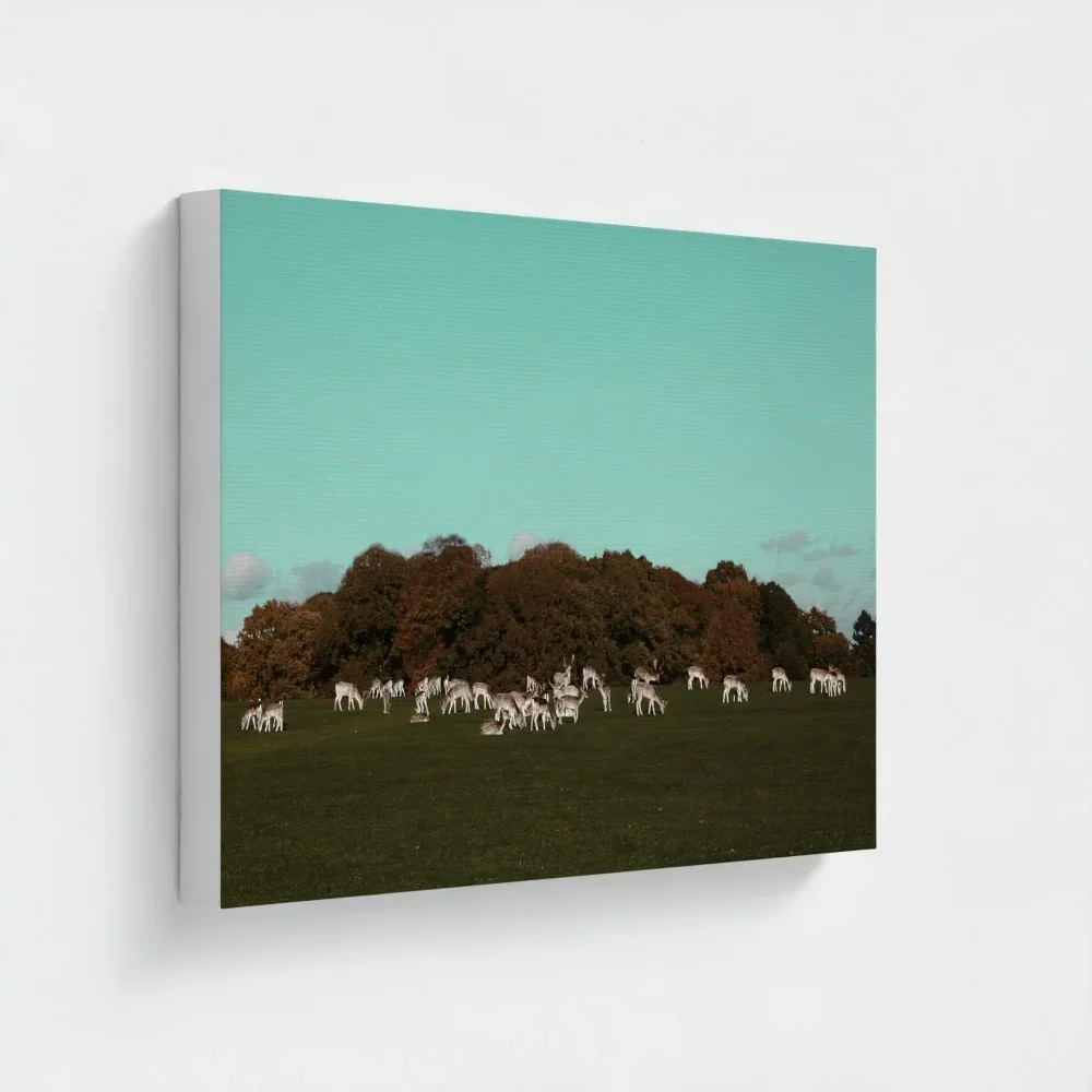 Herd of Deer Fine Art Photography | British Countryside，Serene Landscape Wall Art