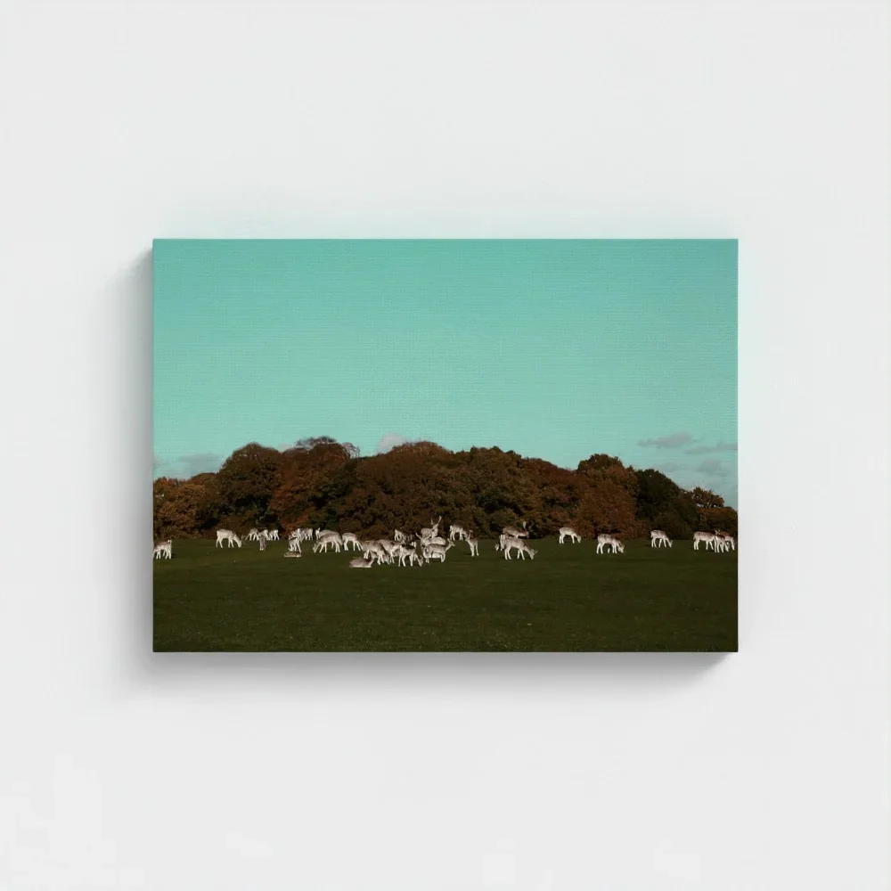 Herd of Deer Fine Art Photography | British Countryside，Serene Landscape Wall Art