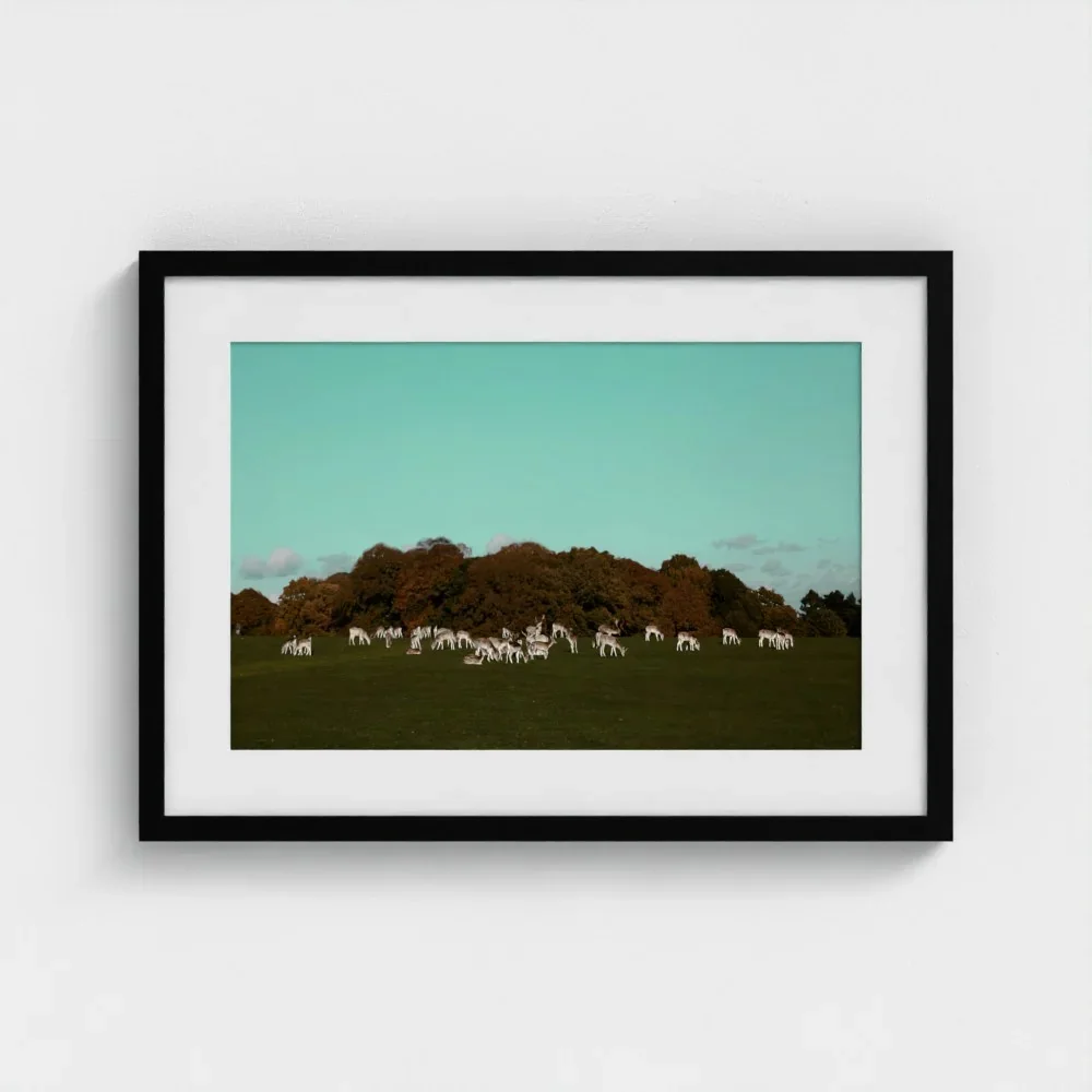 Herd of Deer Fine Art Photography | British Countryside，Serene Landscape Wall Art