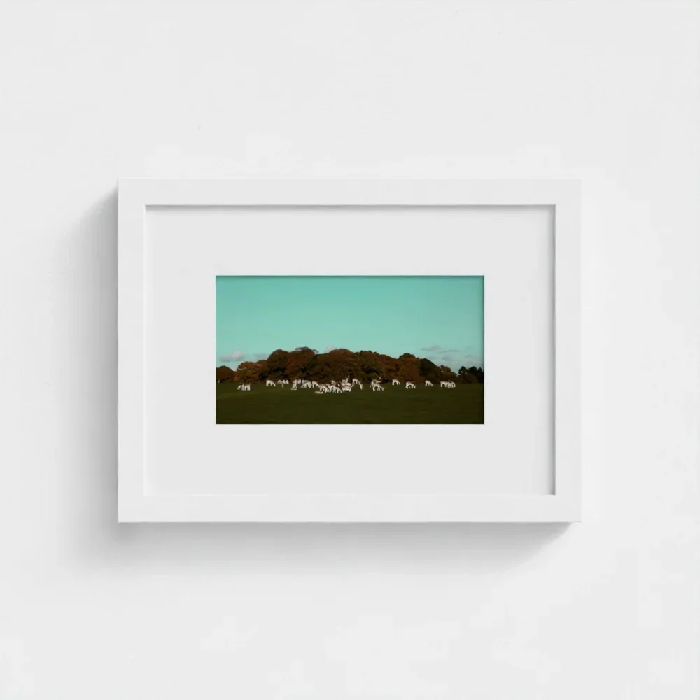 Herd of Deer Fine Art Photography | British Countryside，Serene Landscape Wall Art
