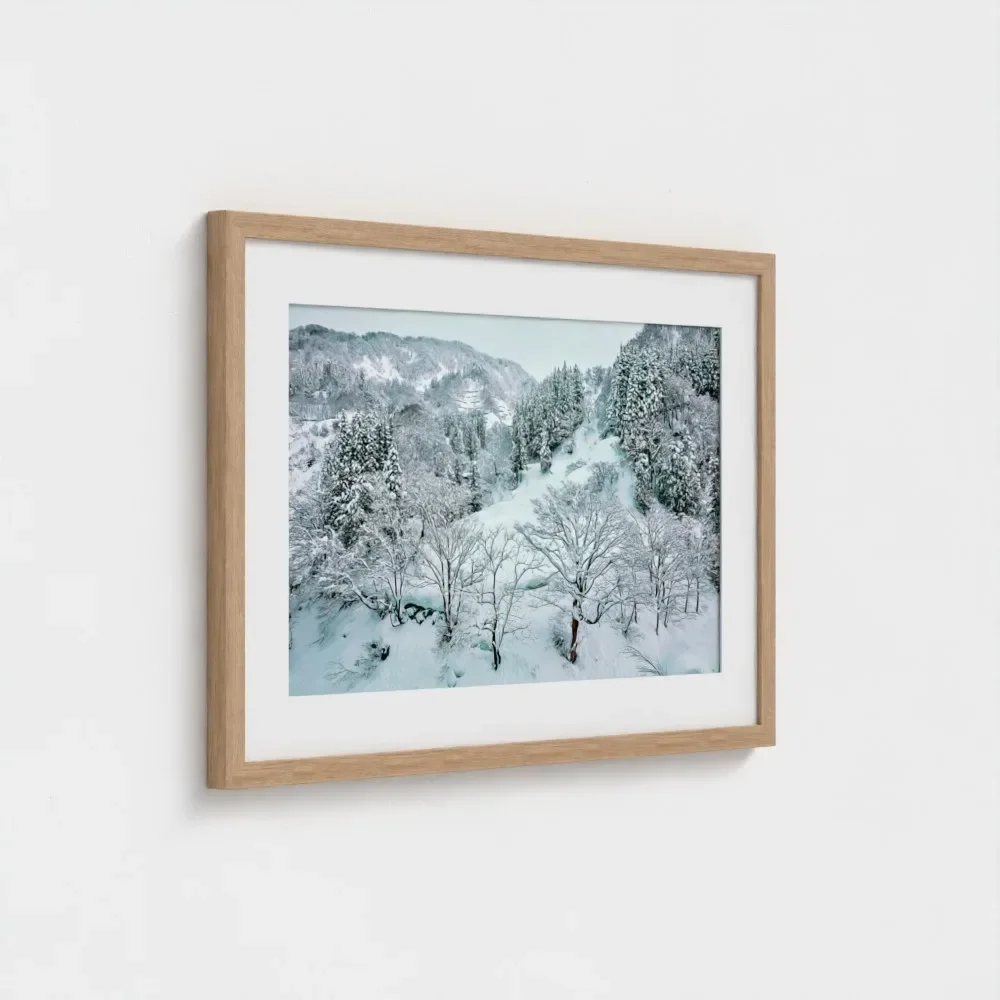 Framed photograph of snowy trees and a mountain landscape on a white wall.