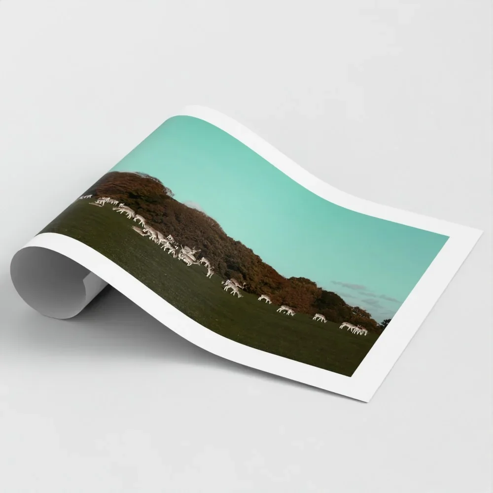 Herd of Deer Fine Art Photography | British Countryside，Serene Landscape Wall Art
