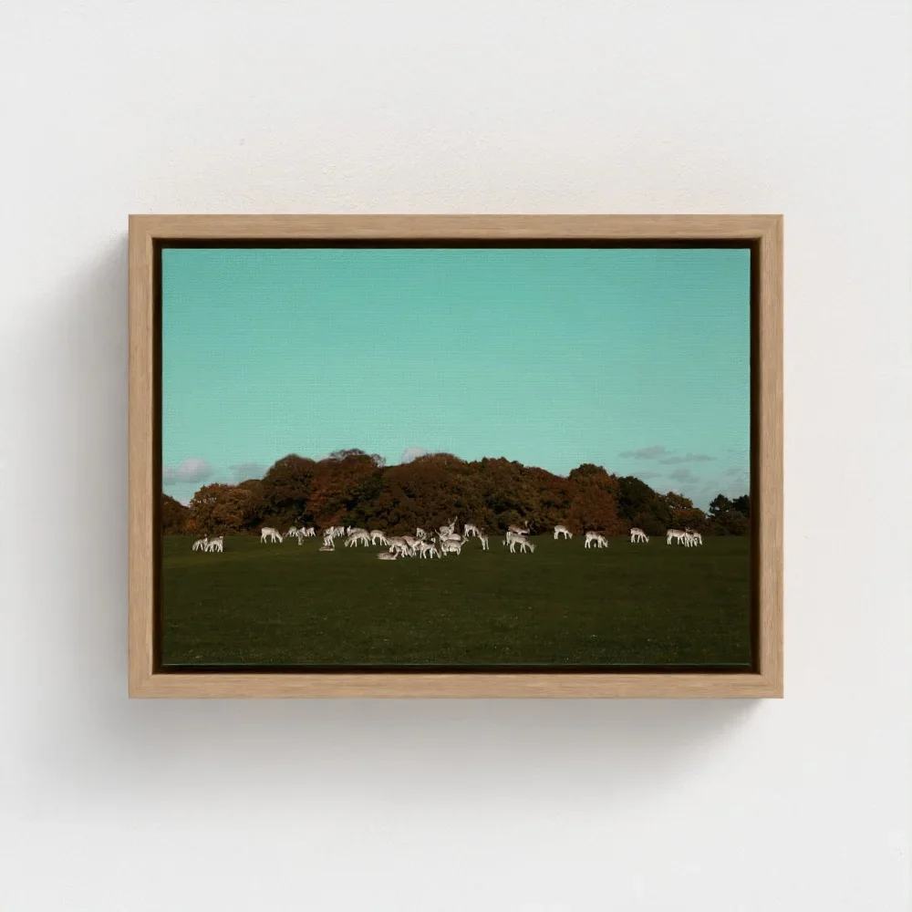 Herd of Deer Fine Art Photography | British Countryside，Serene Landscape Wall Art