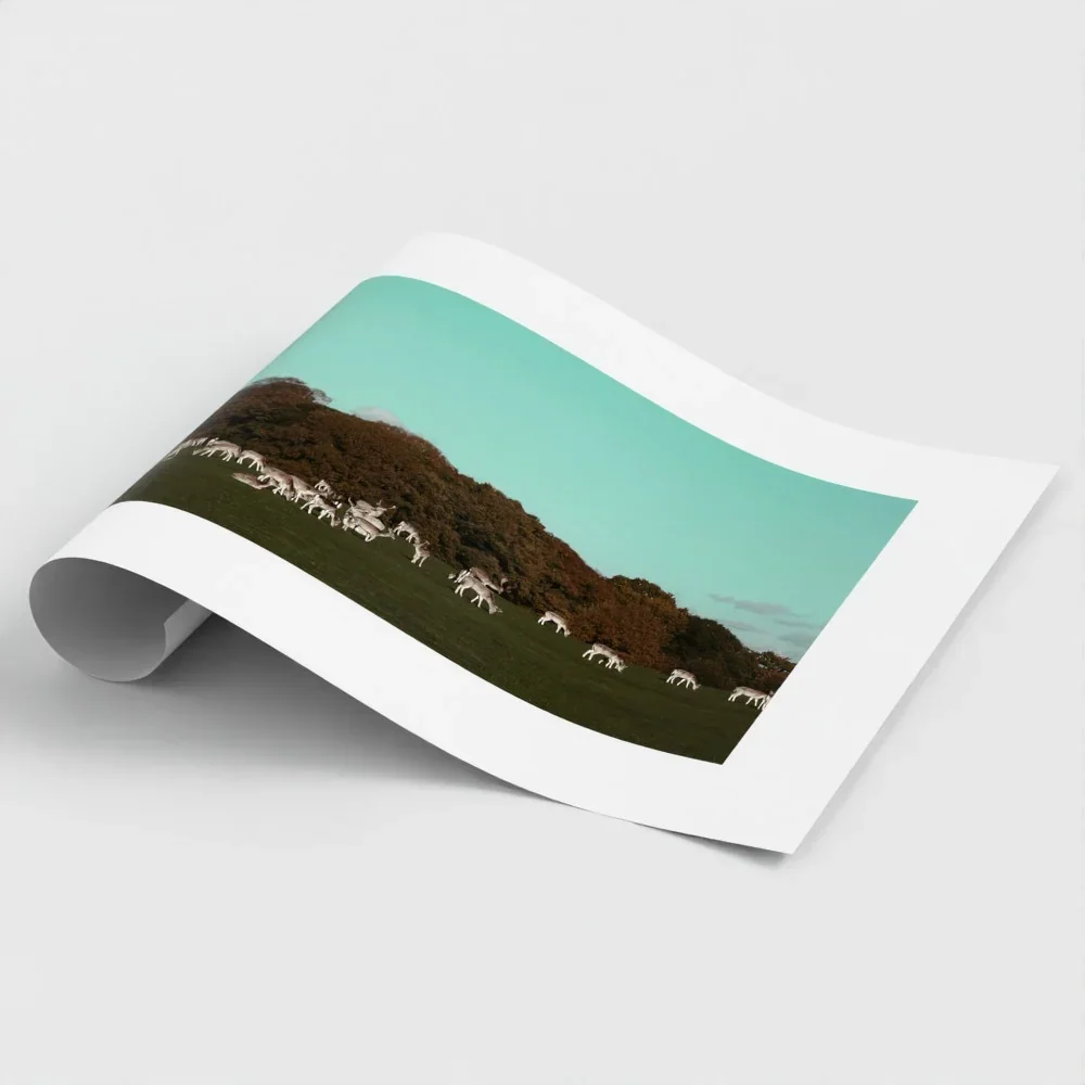 Herd of Deer Fine Art Photography | British Countryside，Serene Landscape Wall Art