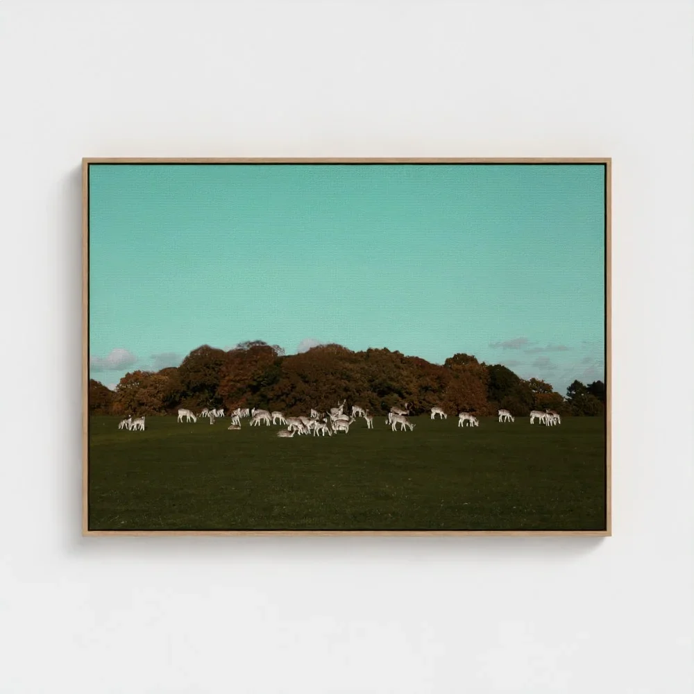 Herd of Deer Fine Art Photography | British Countryside，Serene Landscape Wall Art