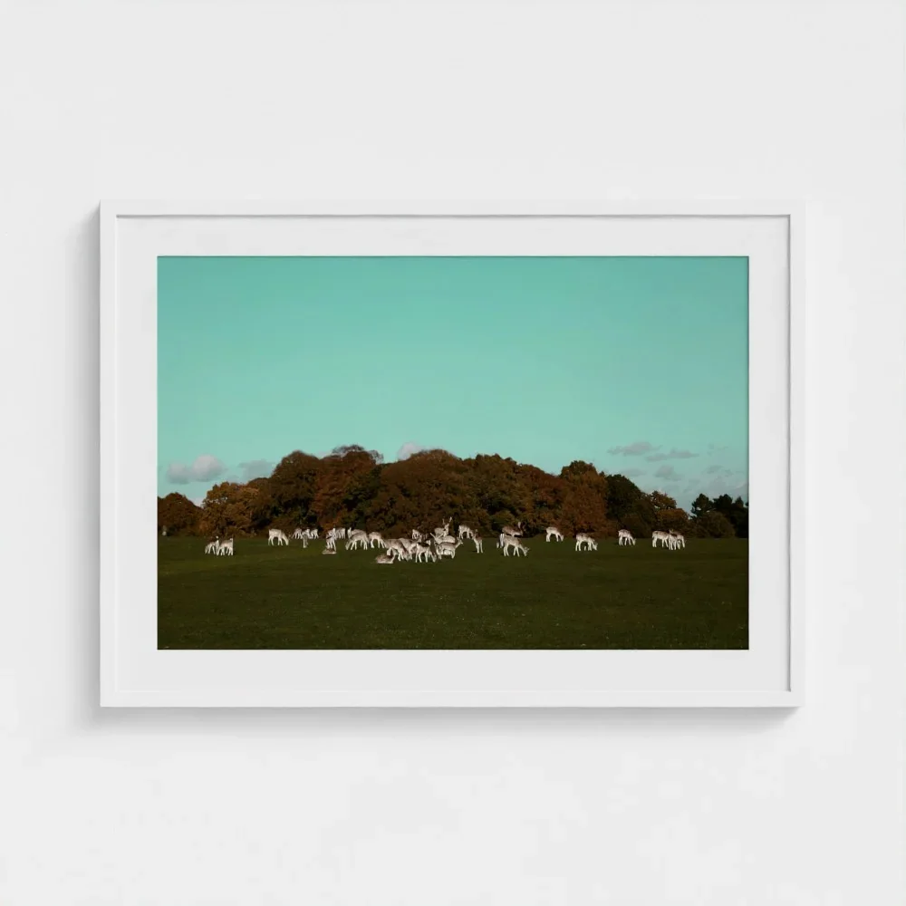 Herd of Deer Fine Art Photography | British Countryside，Serene Landscape Wall Art