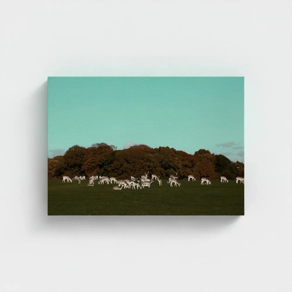 Herd of Deer Fine Art Photography | British Countryside，Serene Landscape Wall Art