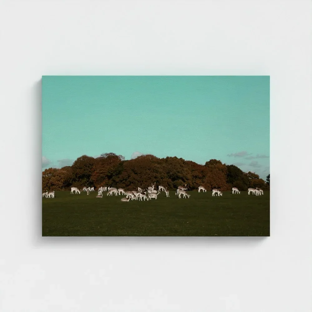 Herd of Deer Fine Art Photography | British Countryside，Serene Landscape Wall Art