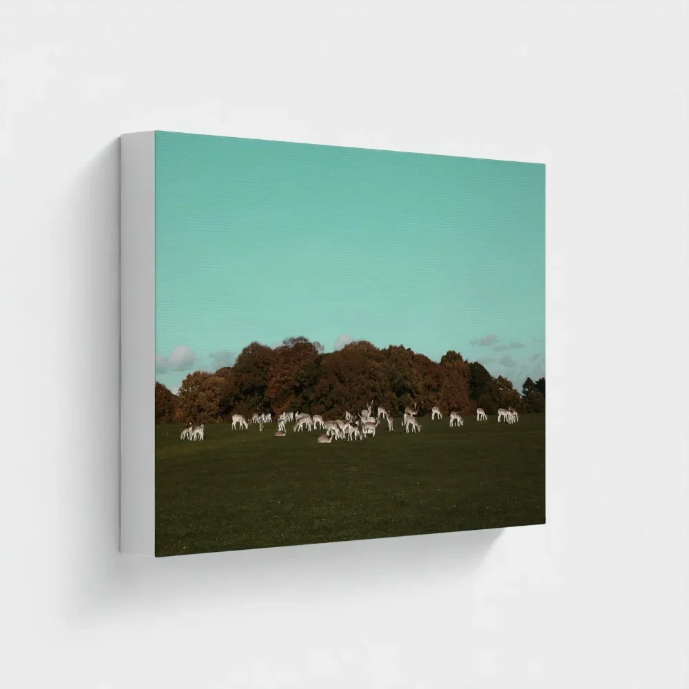 Herd of Deer Fine Art Photography | British Countryside，Serene Landscape Wall Art