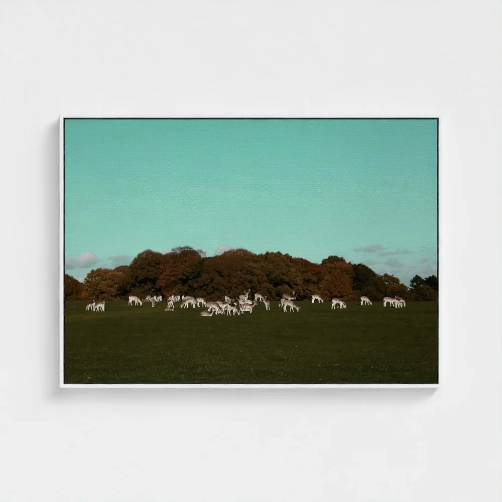 Herd of Deer Fine Art Photography | British Countryside，Serene Landscape Wall Art