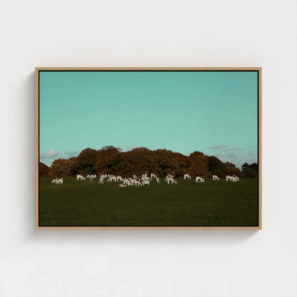 Herd of Deer Fine Art Photography | British Countryside，Serene Landscape Wall Art